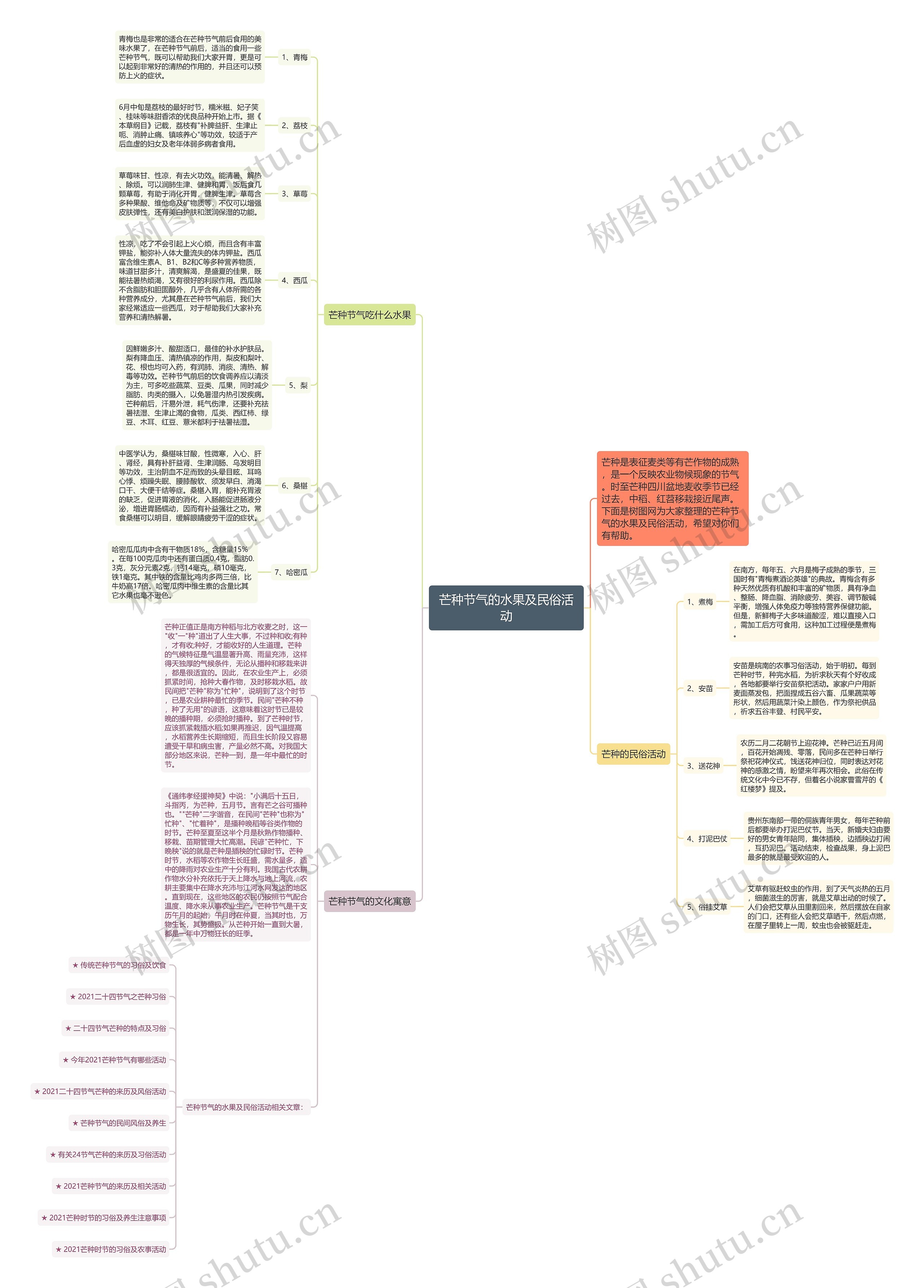 芒种节气的水果及民俗活动思维导图