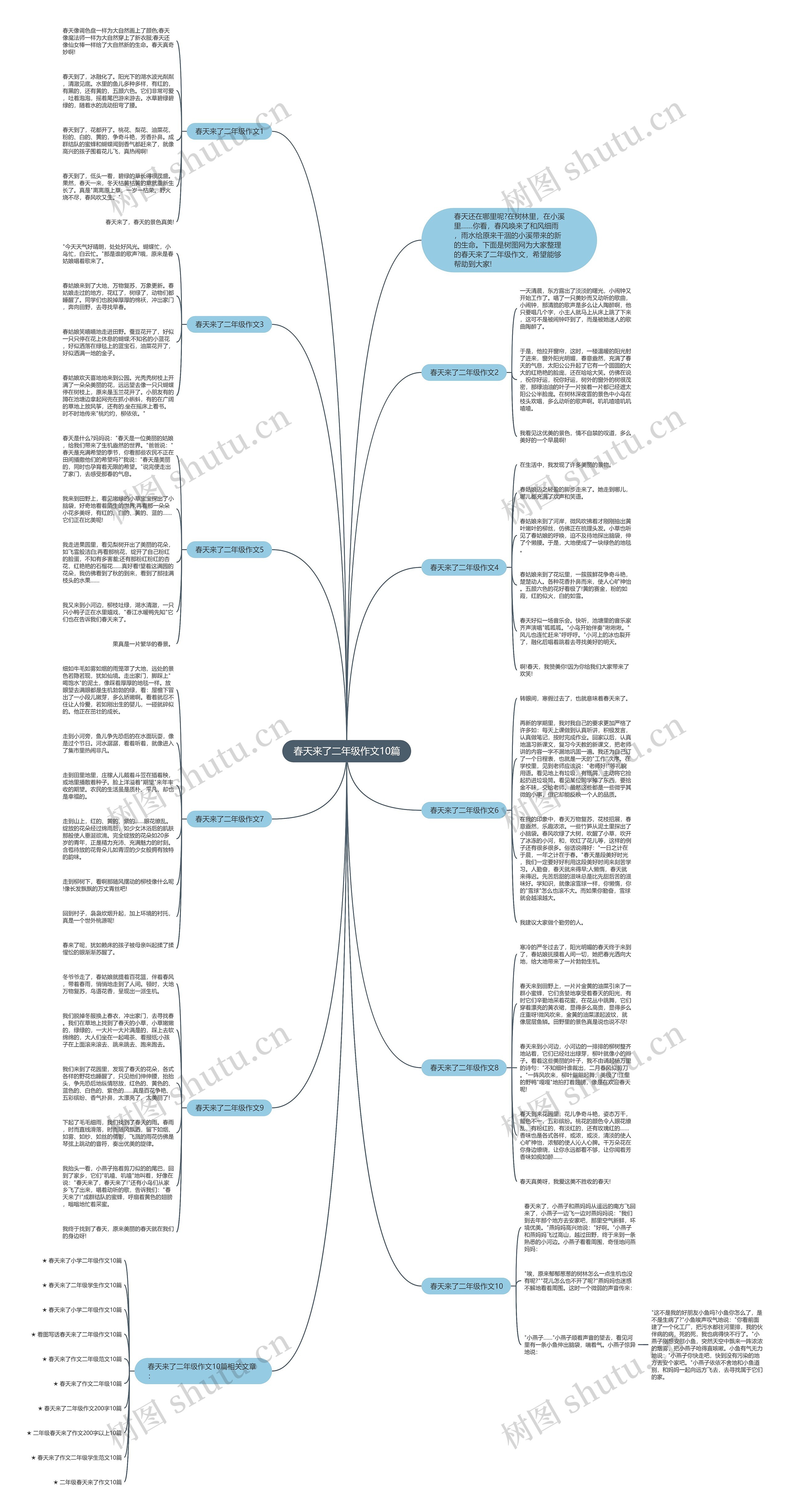 春天来了二年级作文10篇思维导图