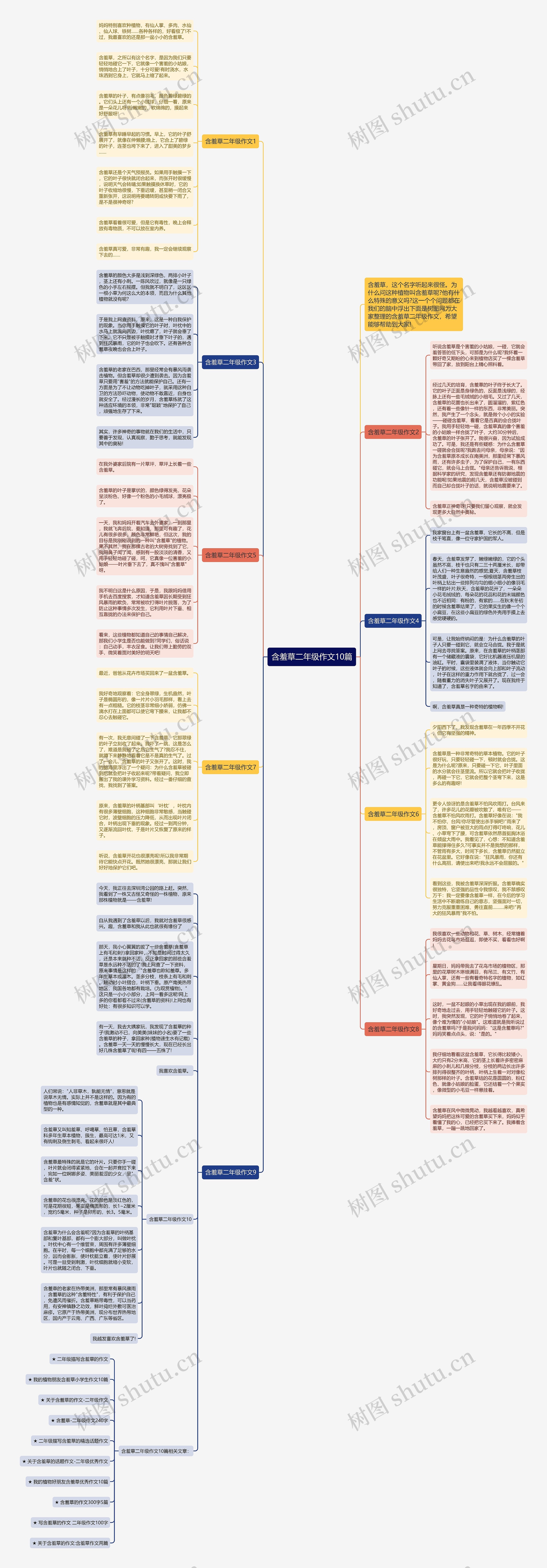 含羞草二年级作文10篇思维导图