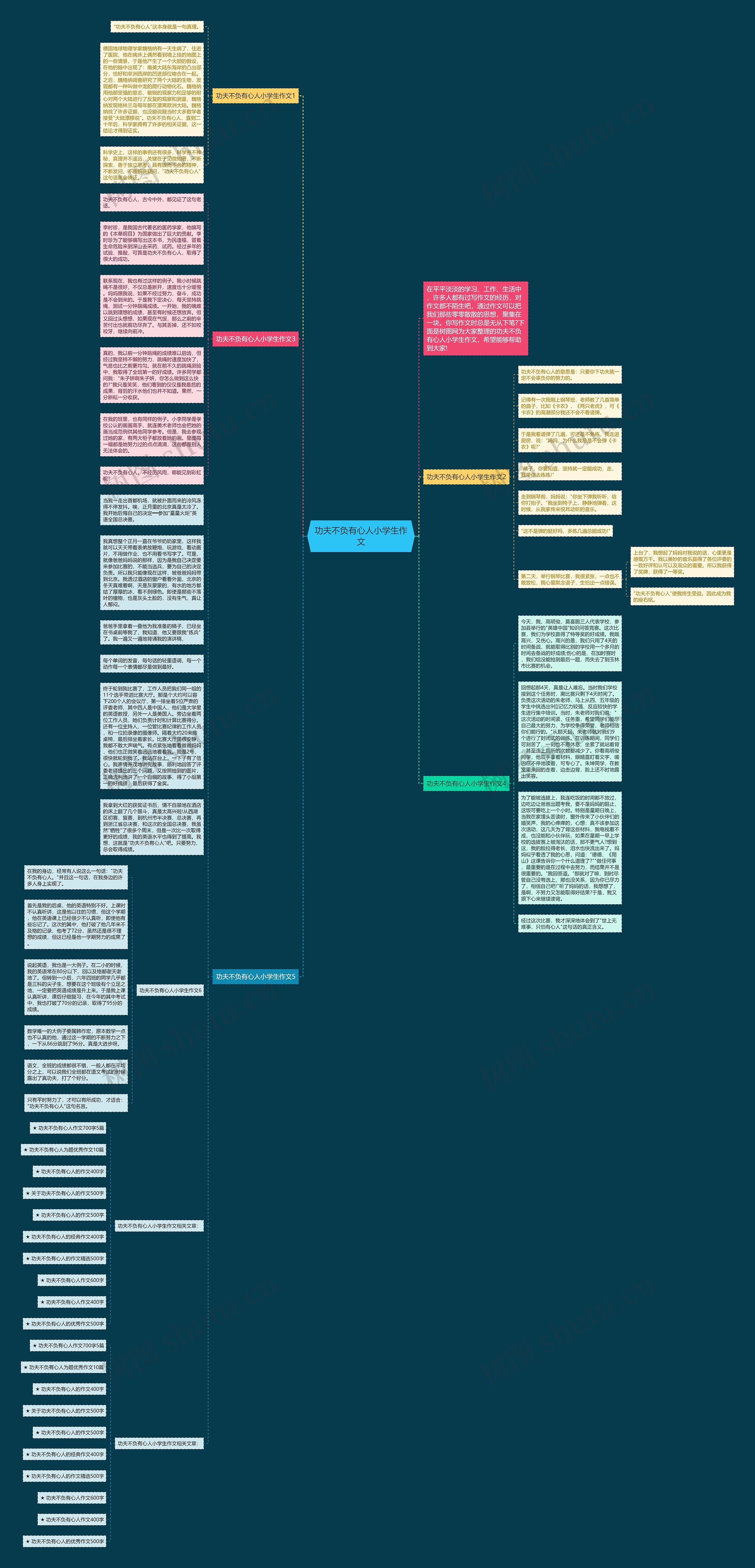 功夫不负有心人小学生作文思维导图