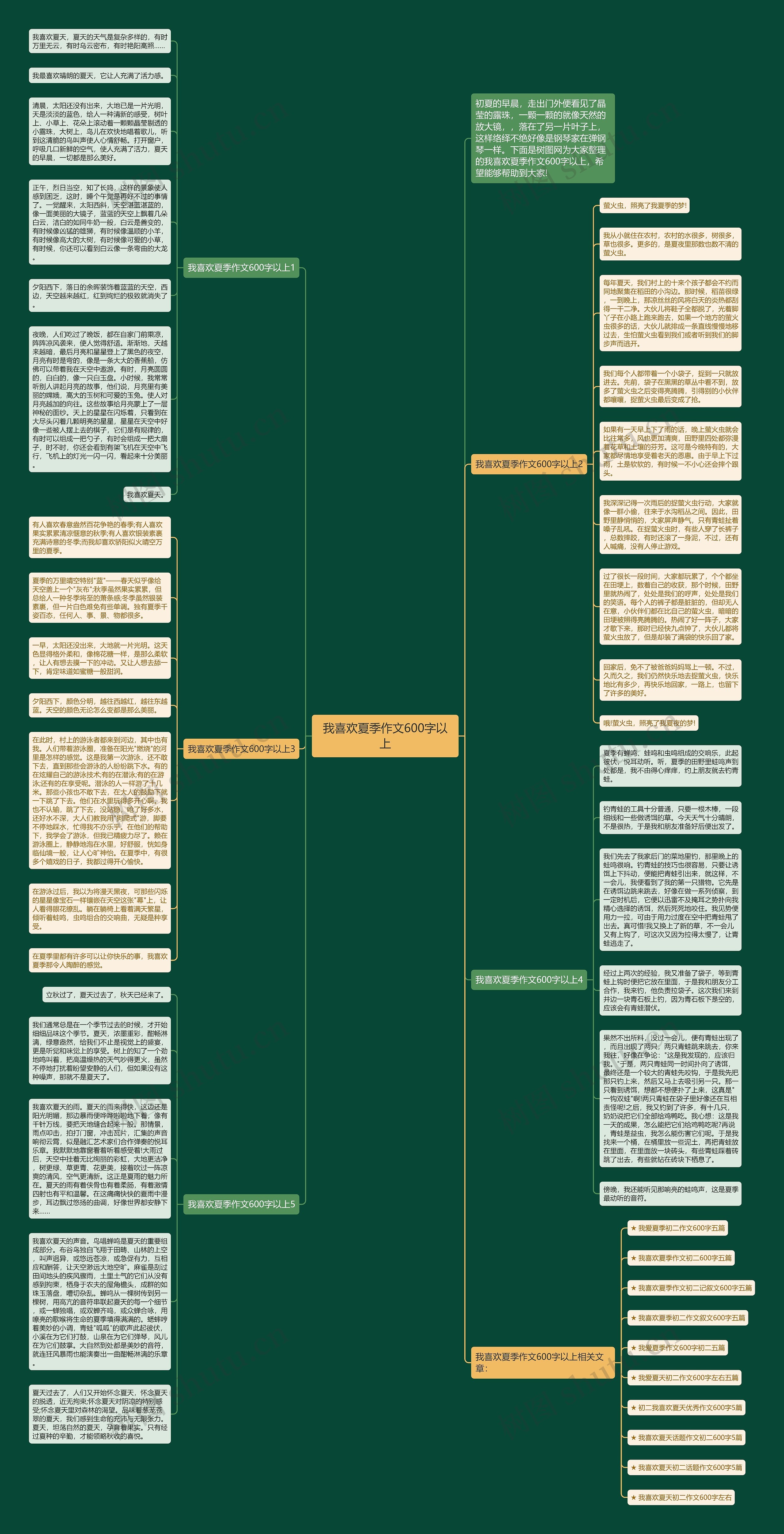 我喜欢夏季作文600字以上思维导图