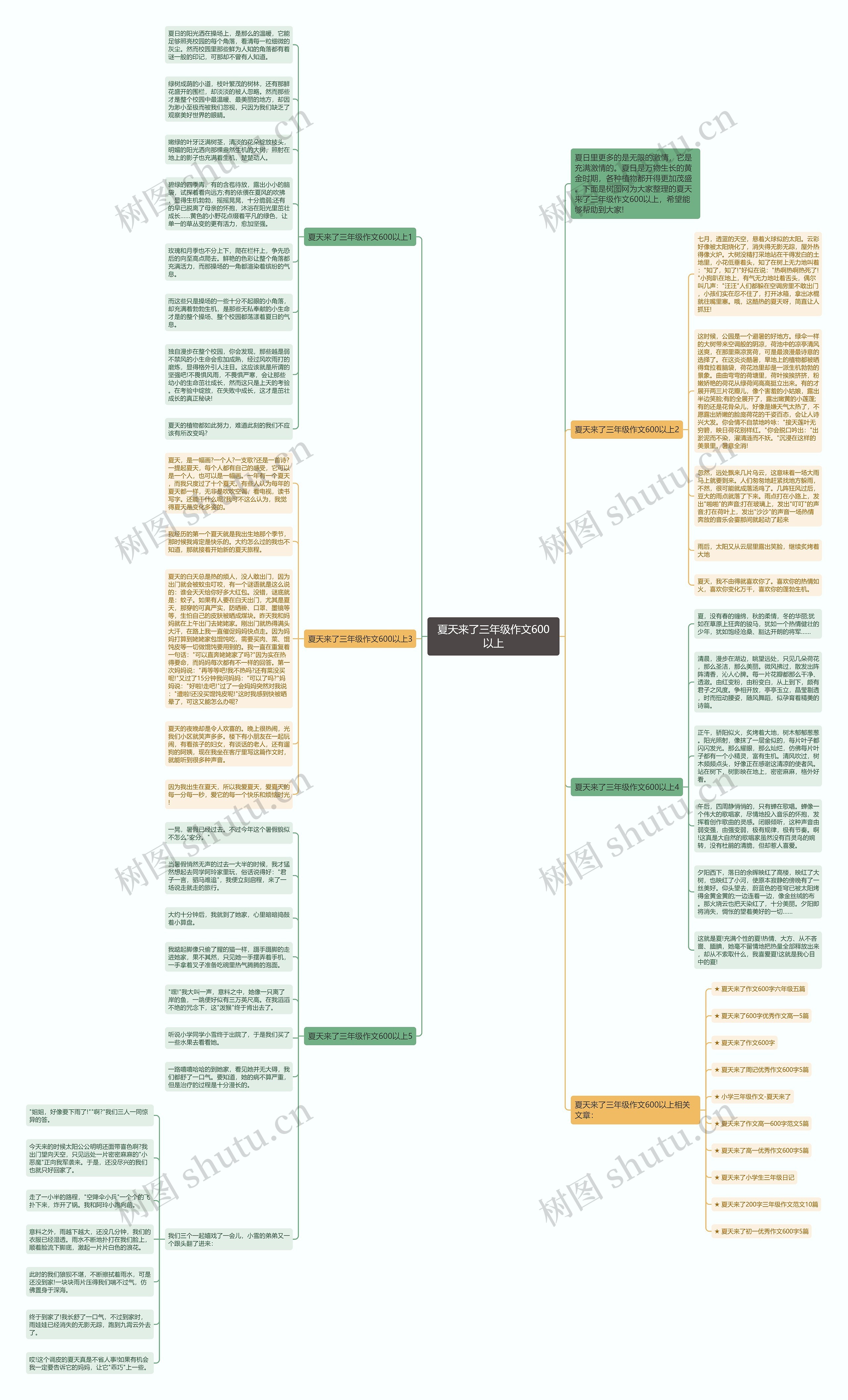 夏天来了三年级作文600以上思维导图