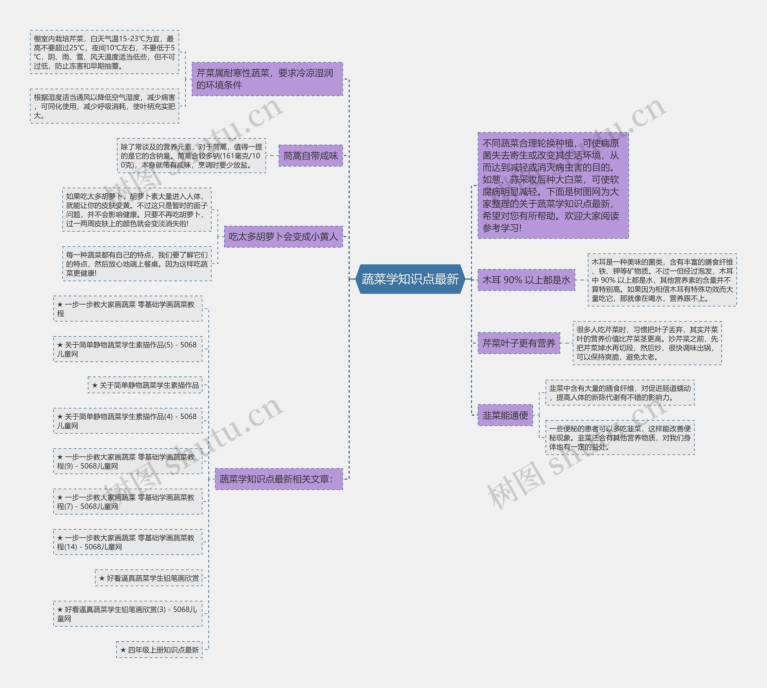 蔬菜学知识点最新思维导图
