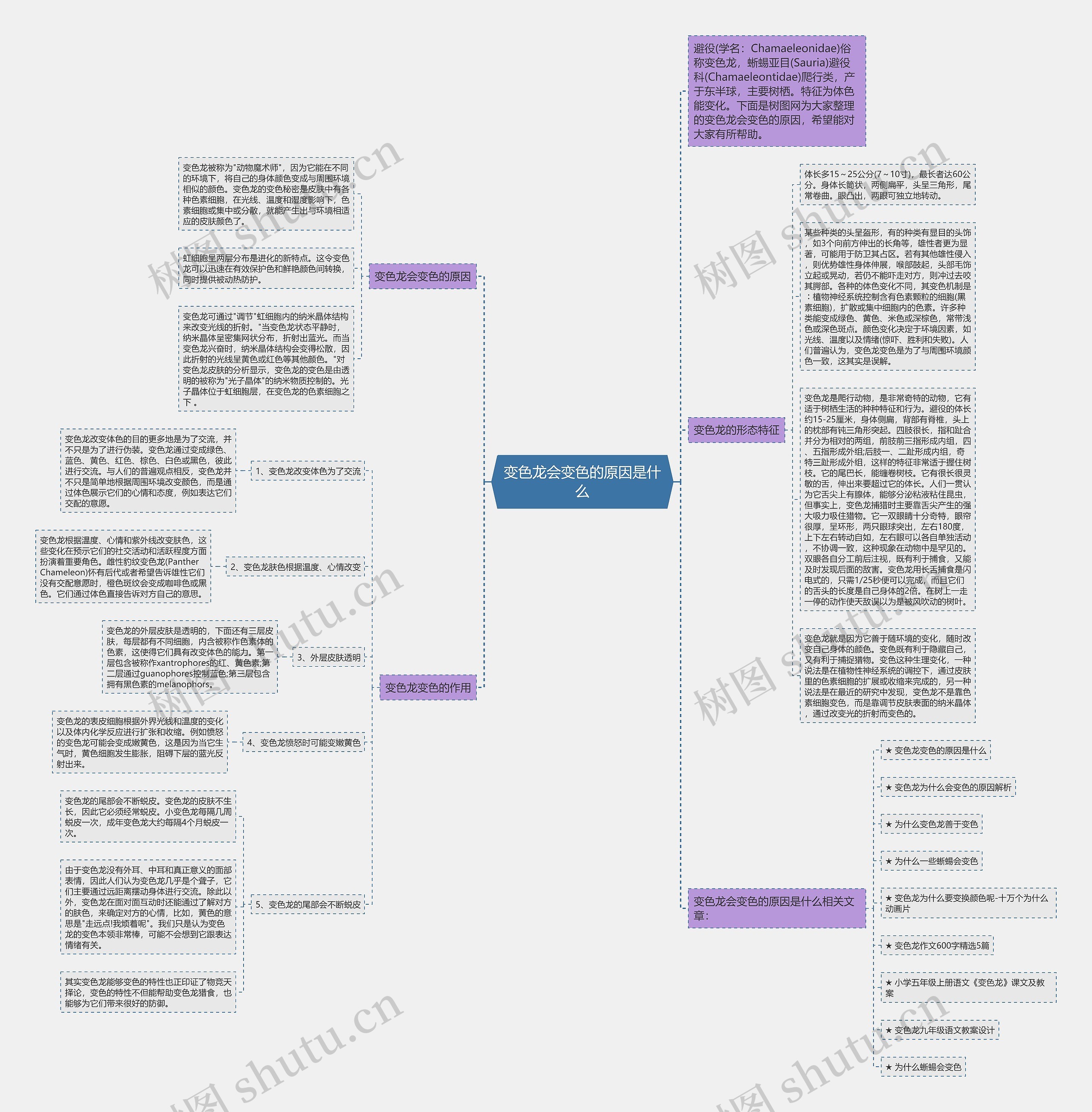 变色龙会变色的原因是什么思维导图