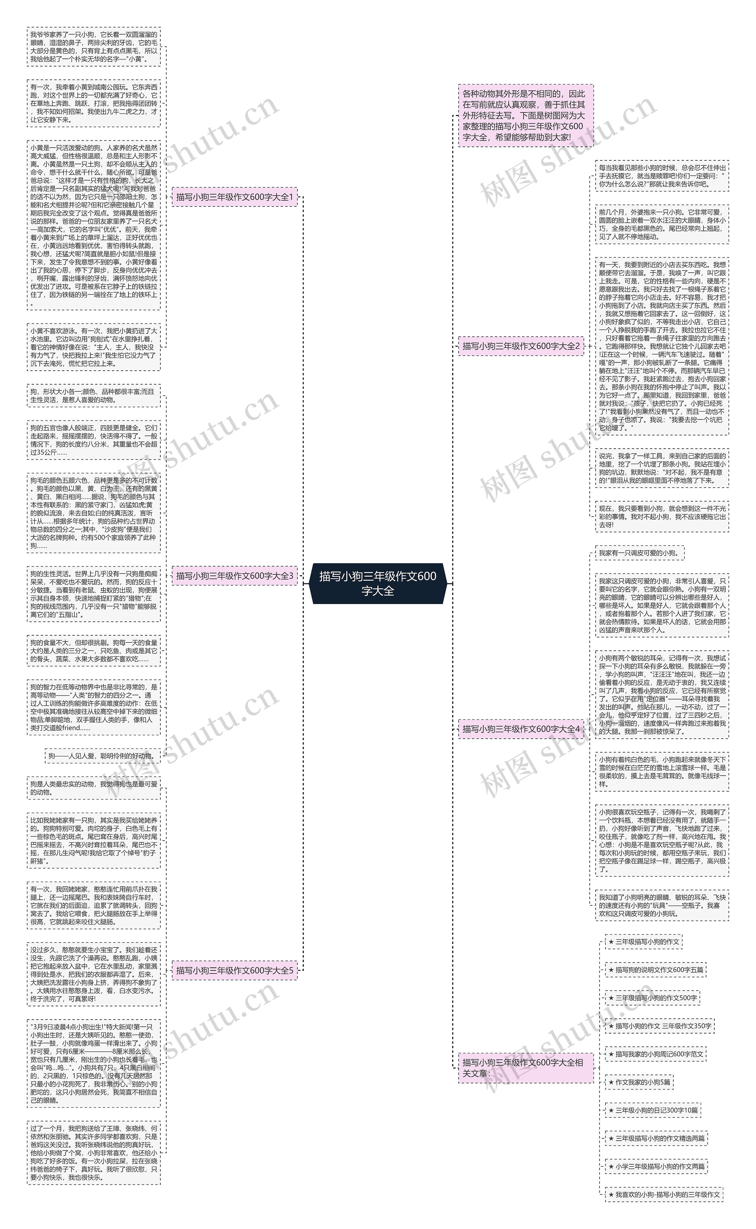 描写小狗三年级作文600字大全思维导图