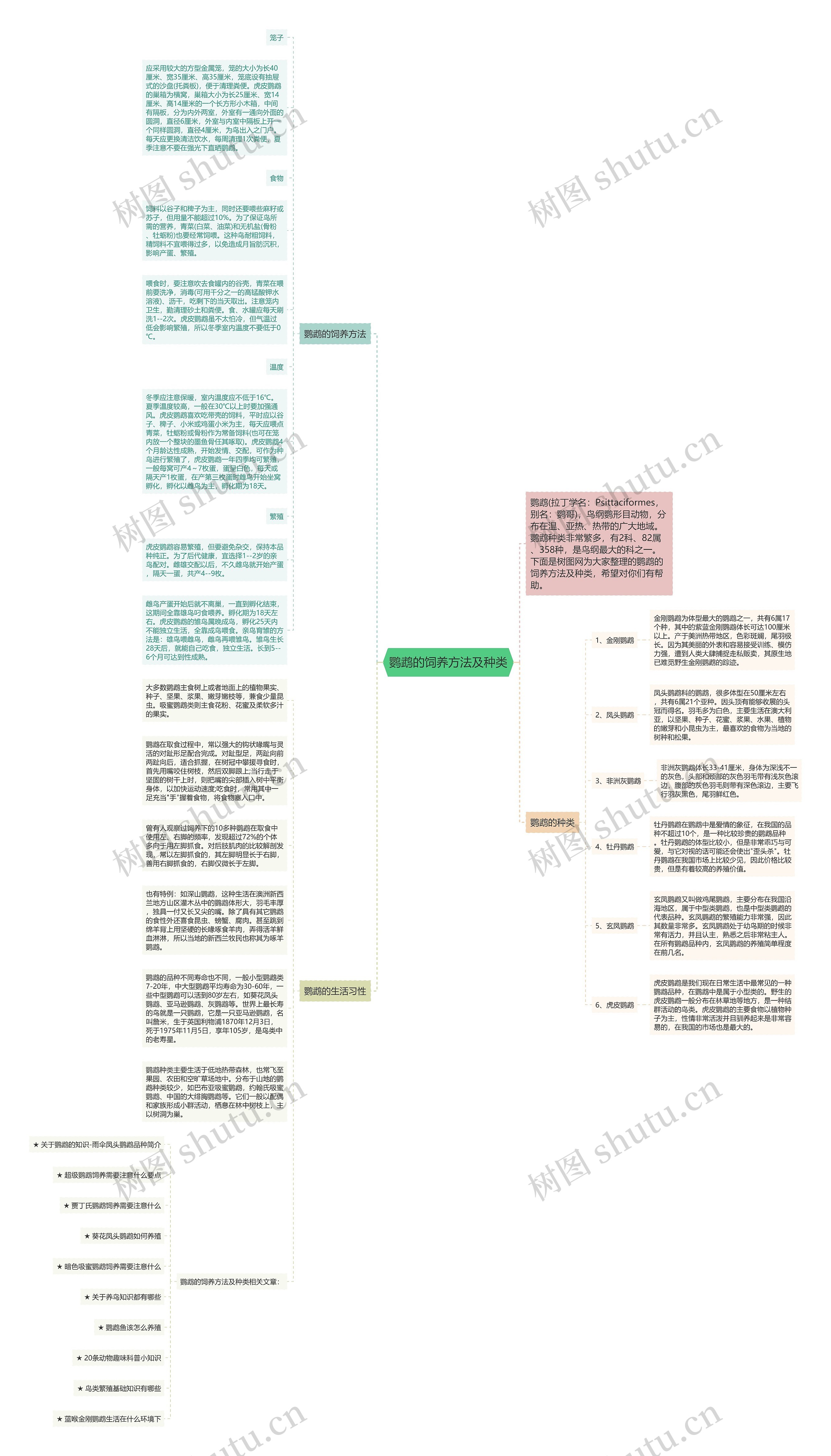 鹦鹉的饲养方法及种类思维导图