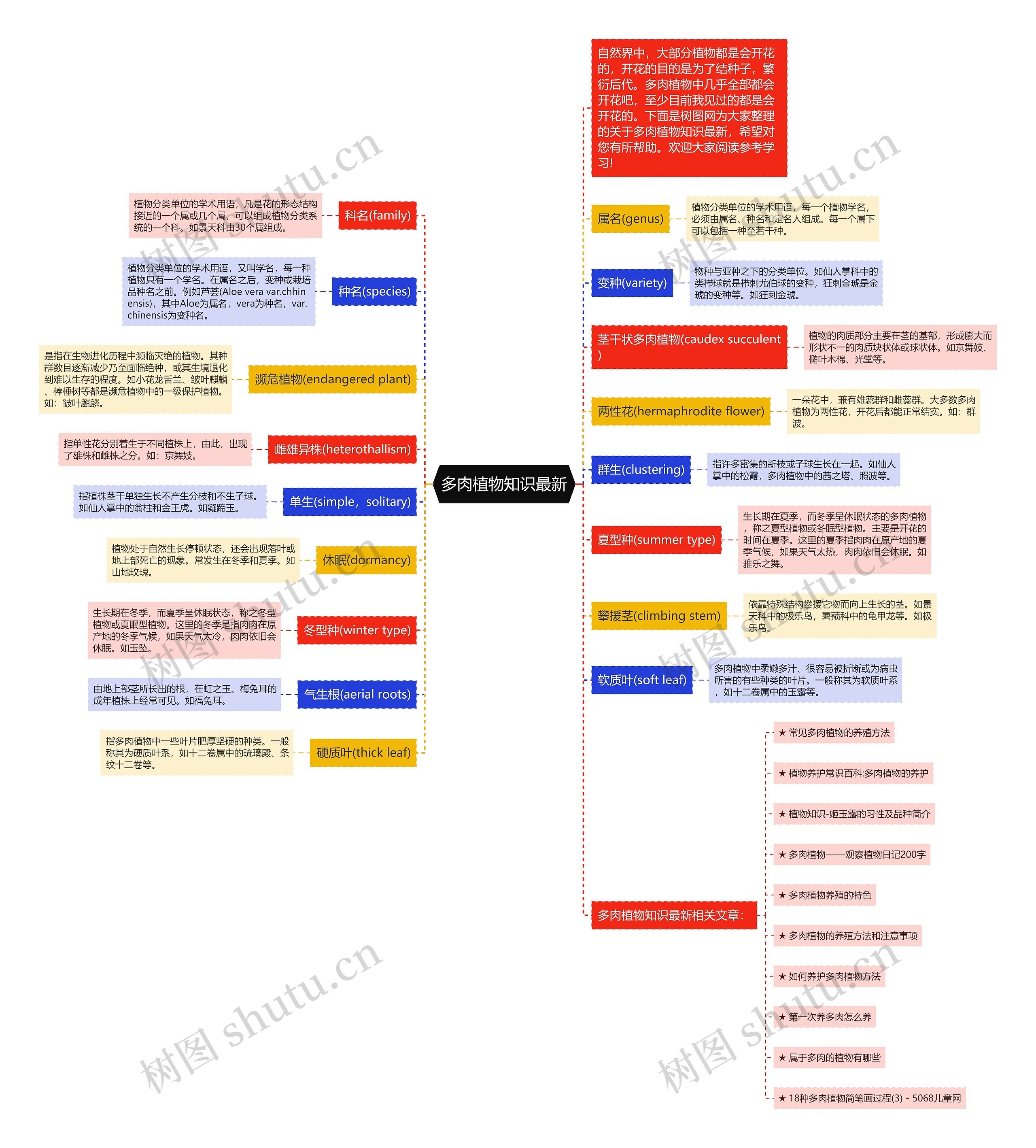 多肉植物知识最新思维导图