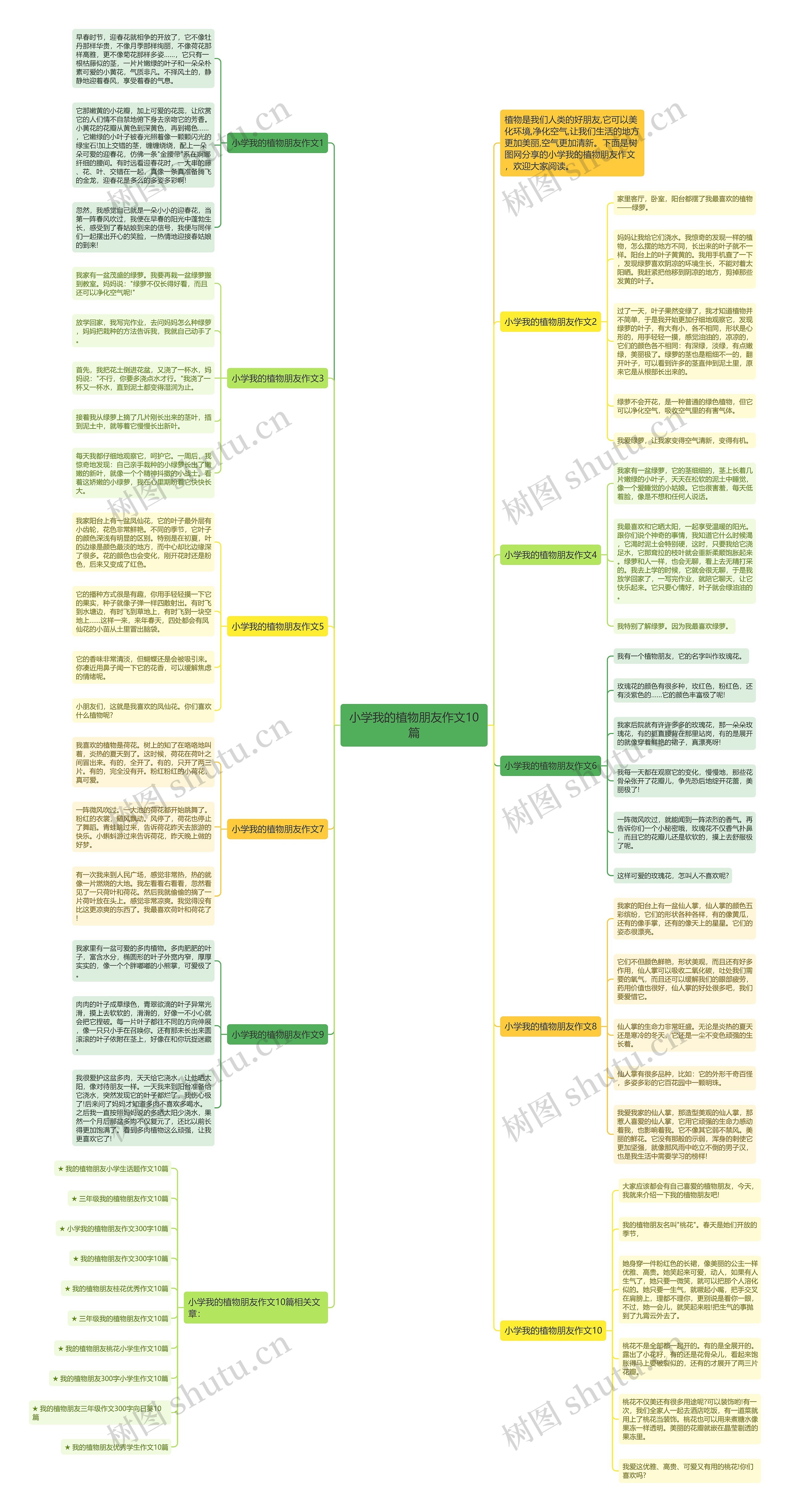 小学我的植物朋友作文10篇思维导图