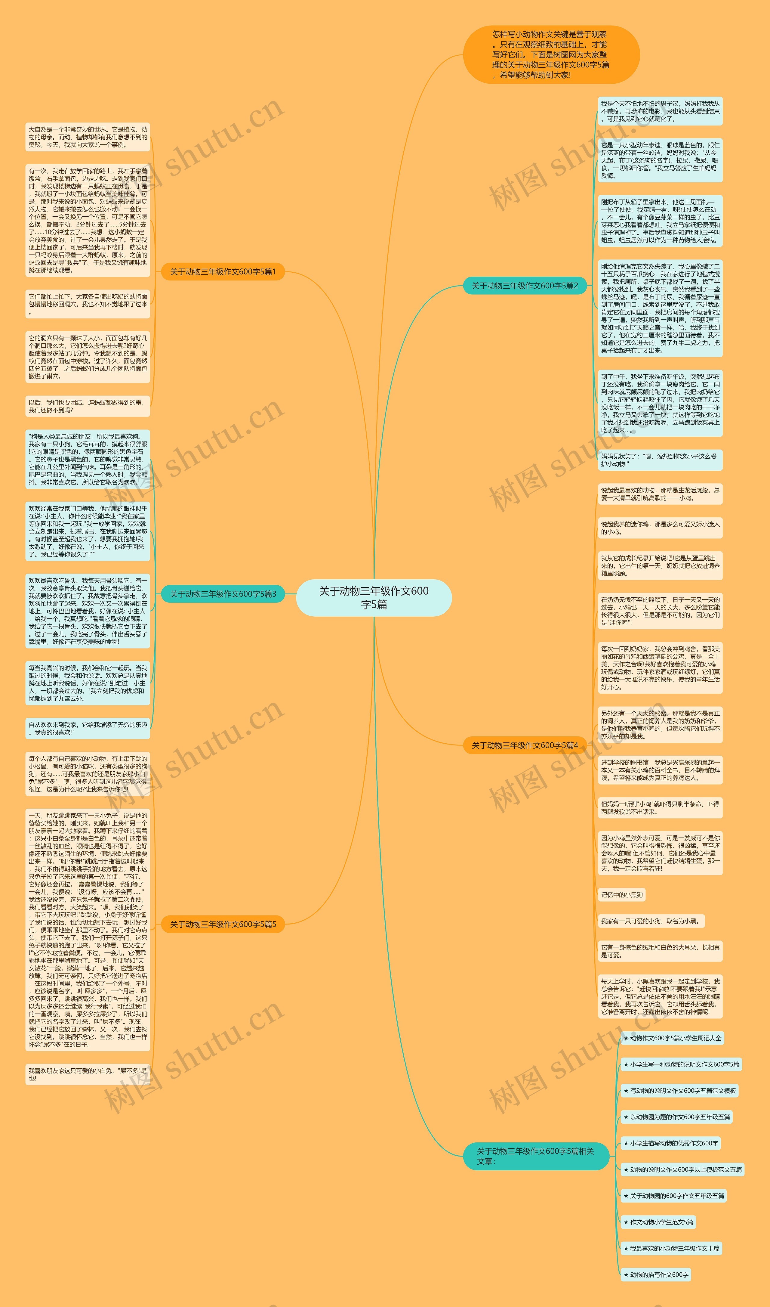 关于动物三年级作文600字5篇思维导图