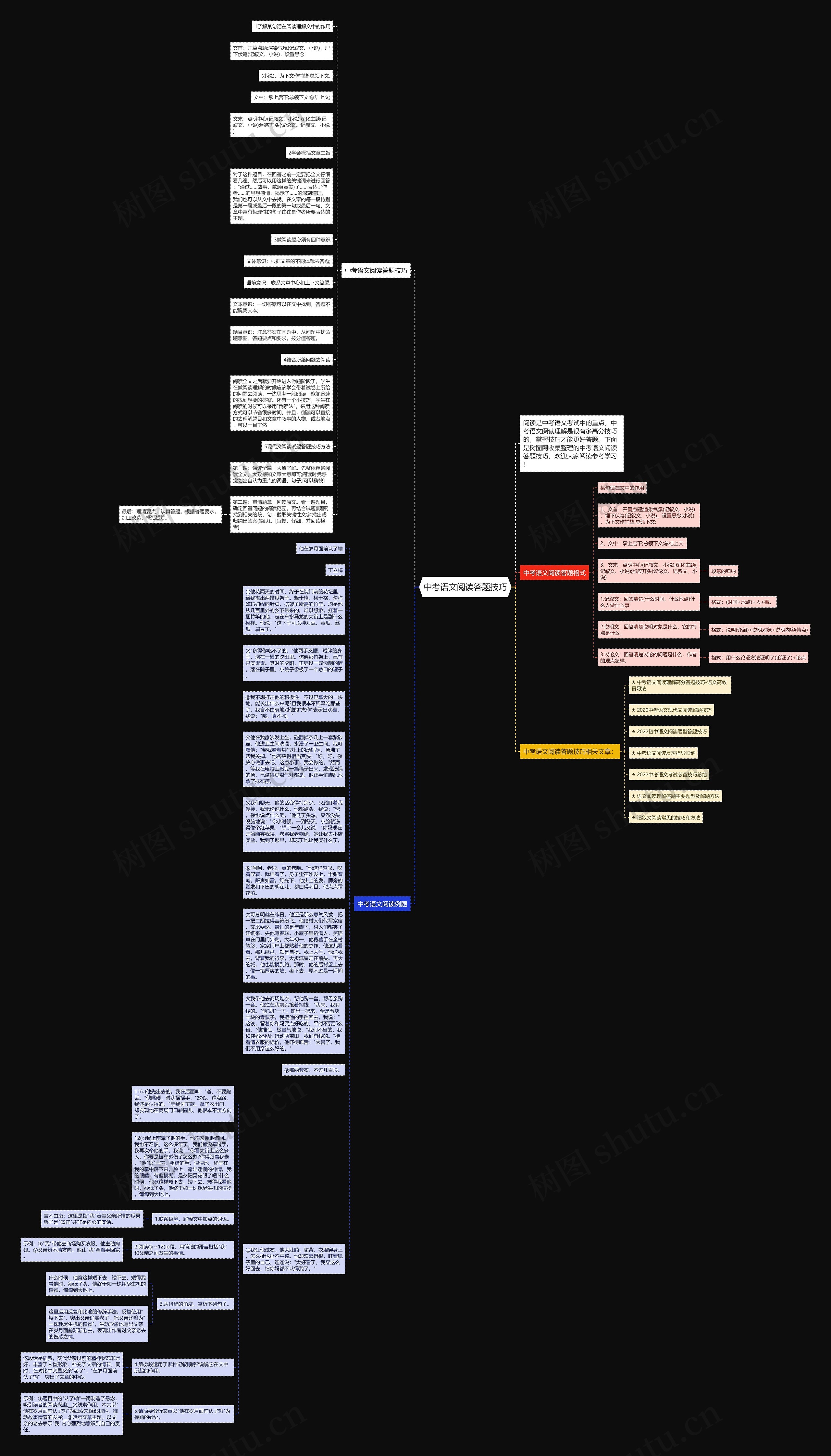 中考语文阅读答题技巧思维导图