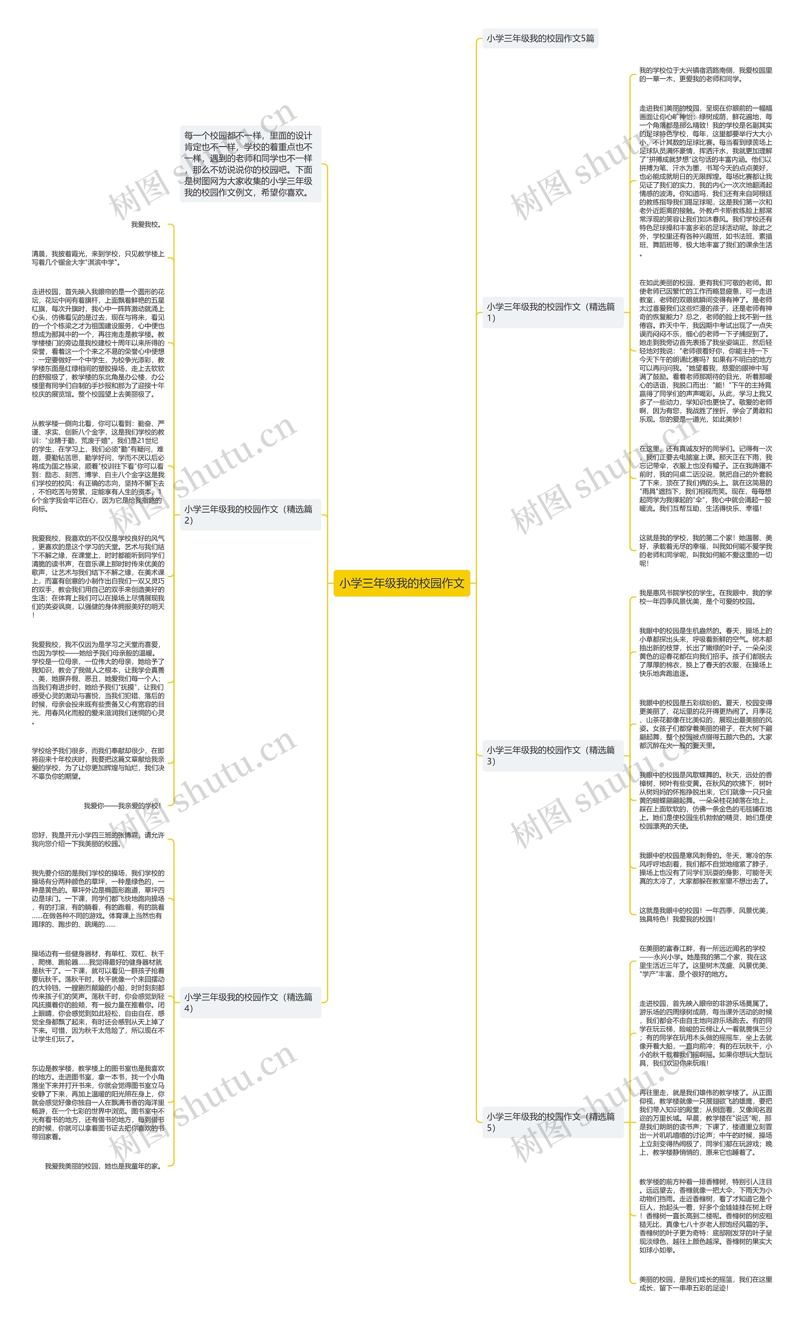 小学三年级我的校园作文思维导图
