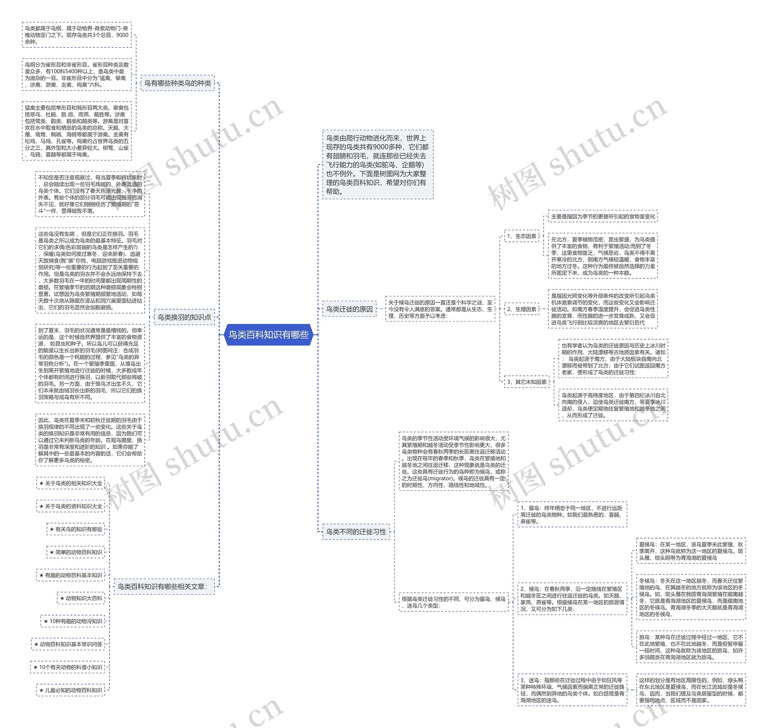 鸟类百科知识有哪些思维导图