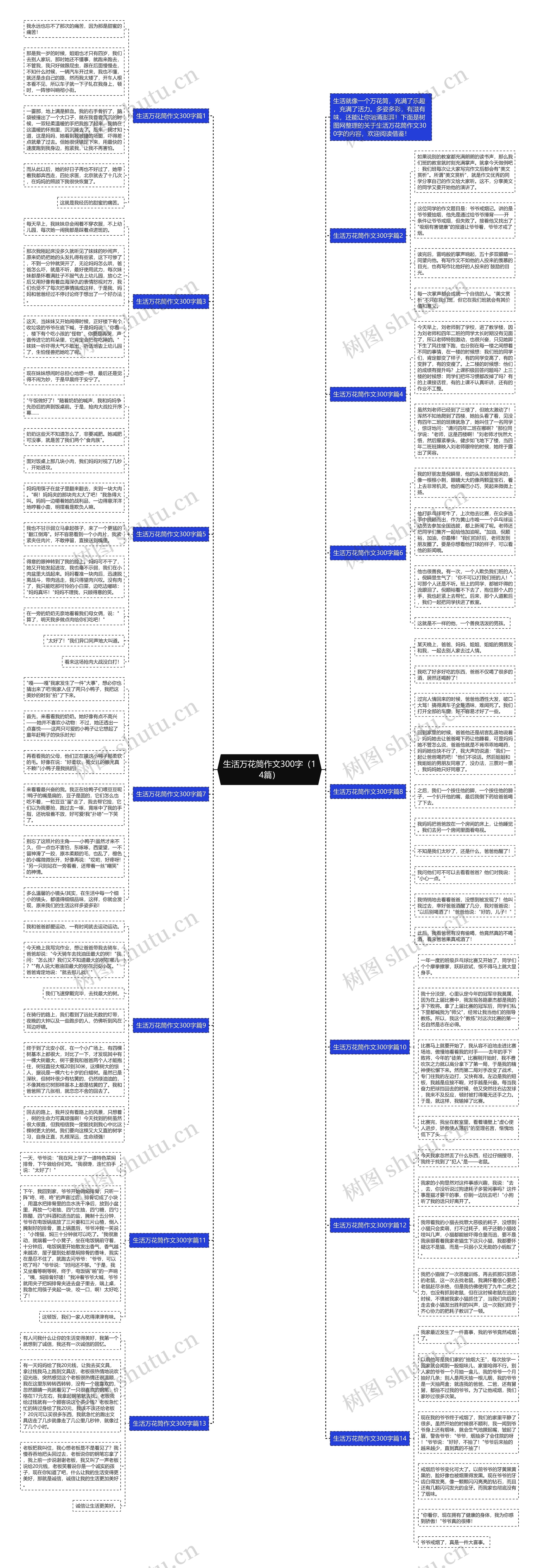 生活万花筒作文300字（14篇）思维导图