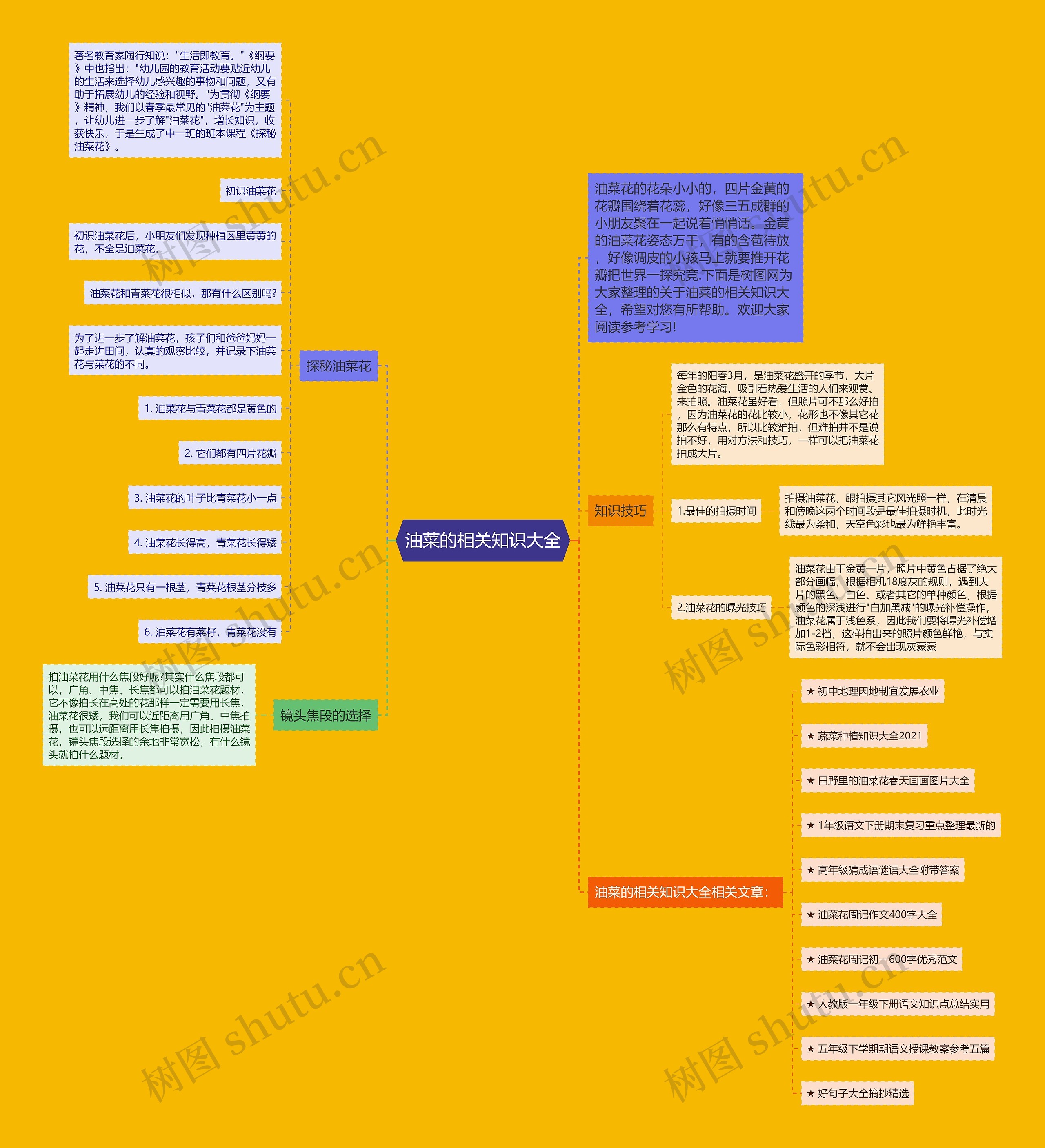 油菜的相关知识大全思维导图