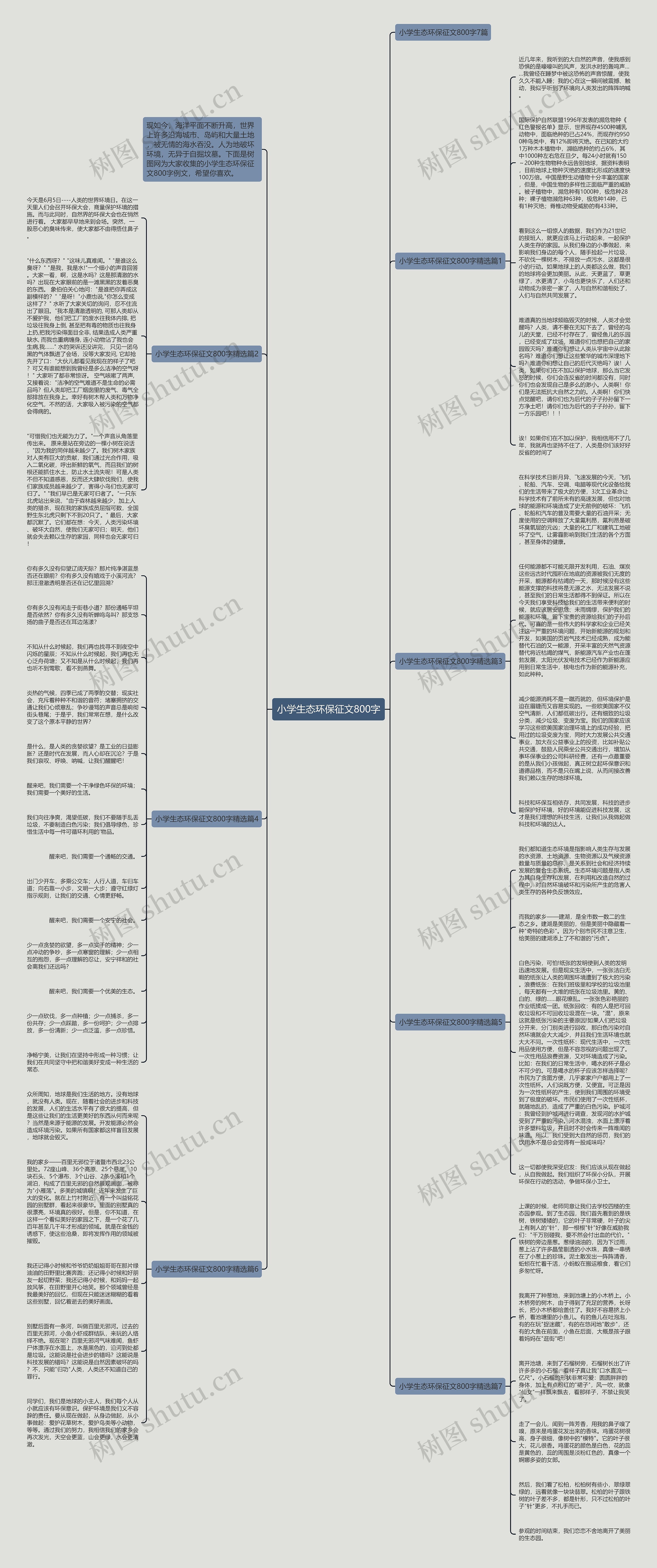小学生态环保征文800字思维导图