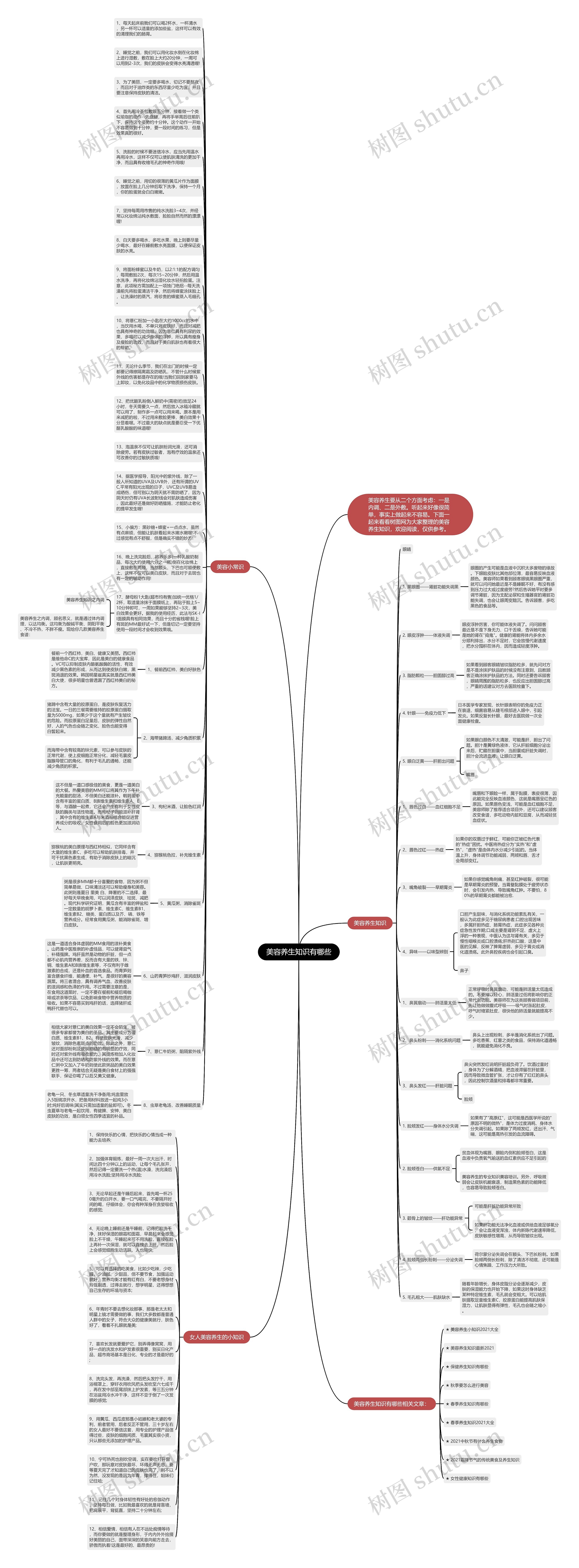 美容养生知识有哪些思维导图