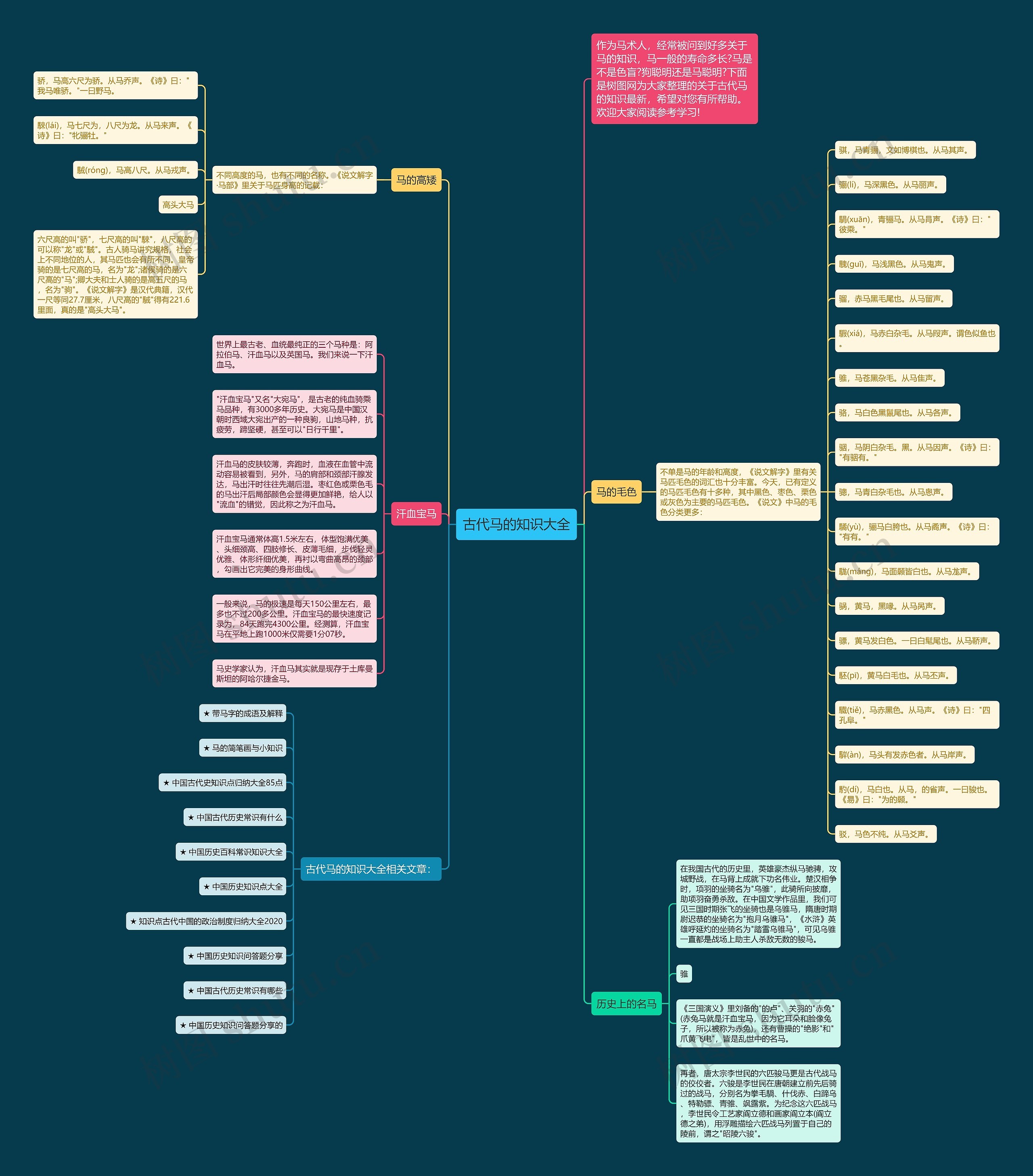 古代马的知识大全思维导图