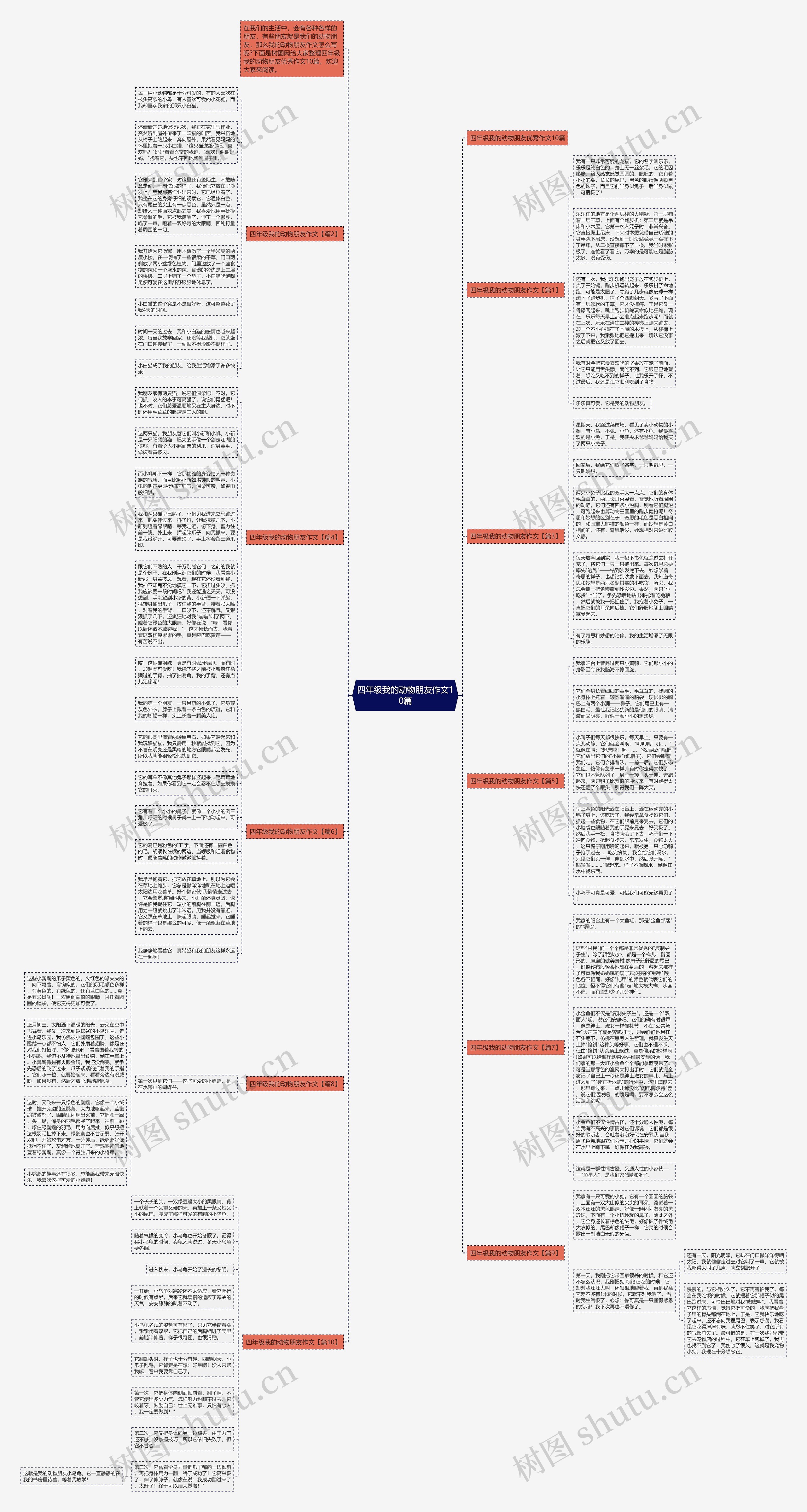 四年级我的动物朋友作文10篇思维导图