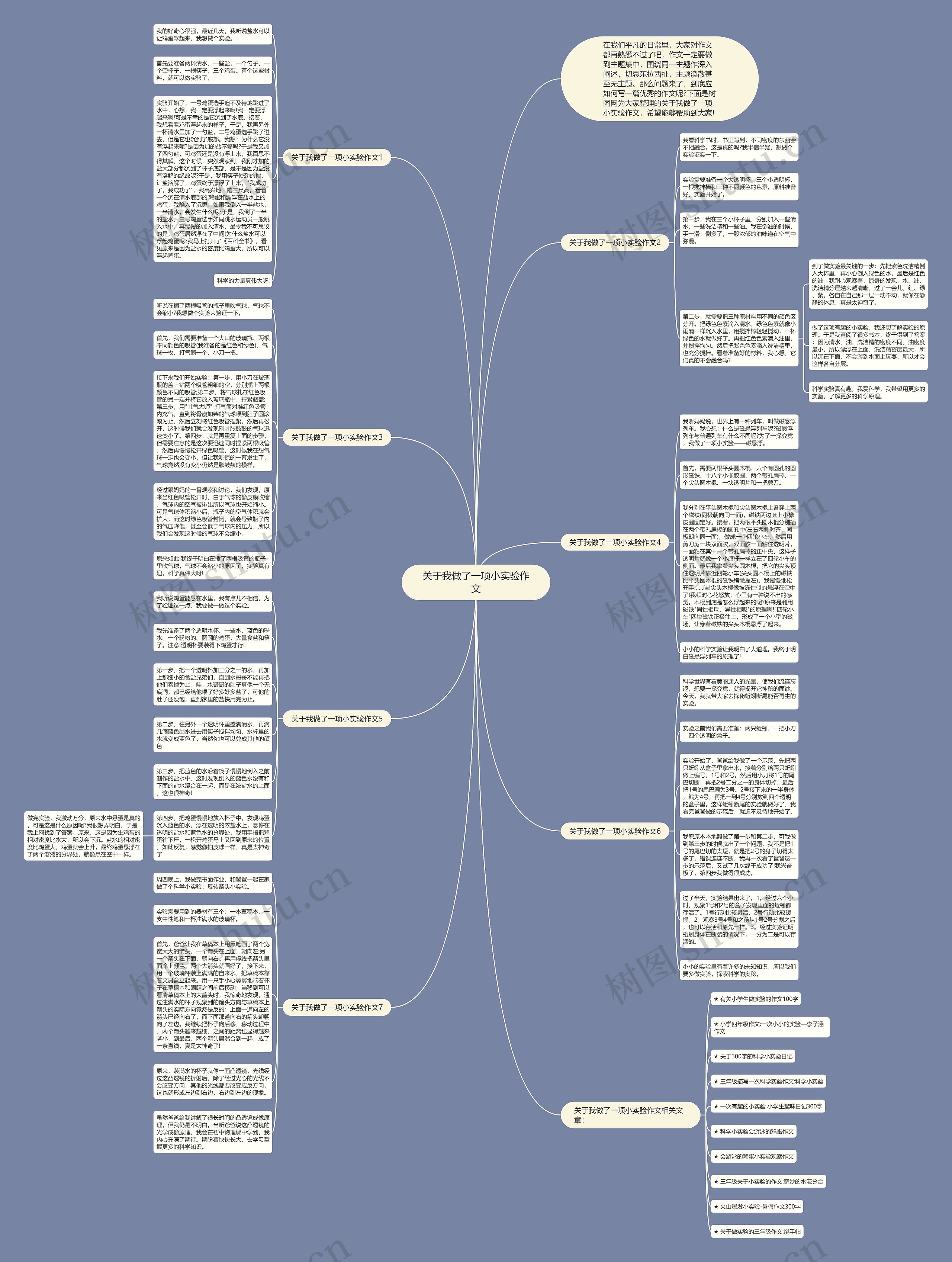 关于我做了一项小实验作文思维导图