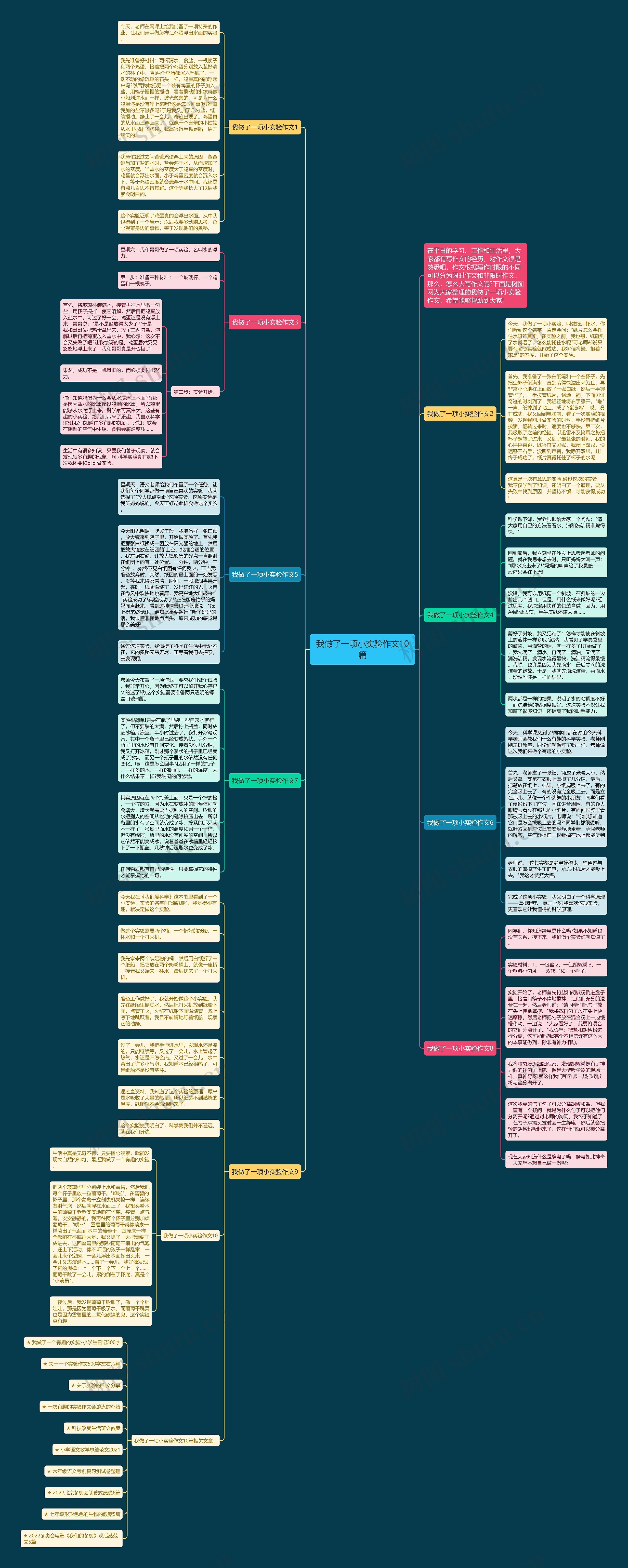 我做了一项小实验作文10篇