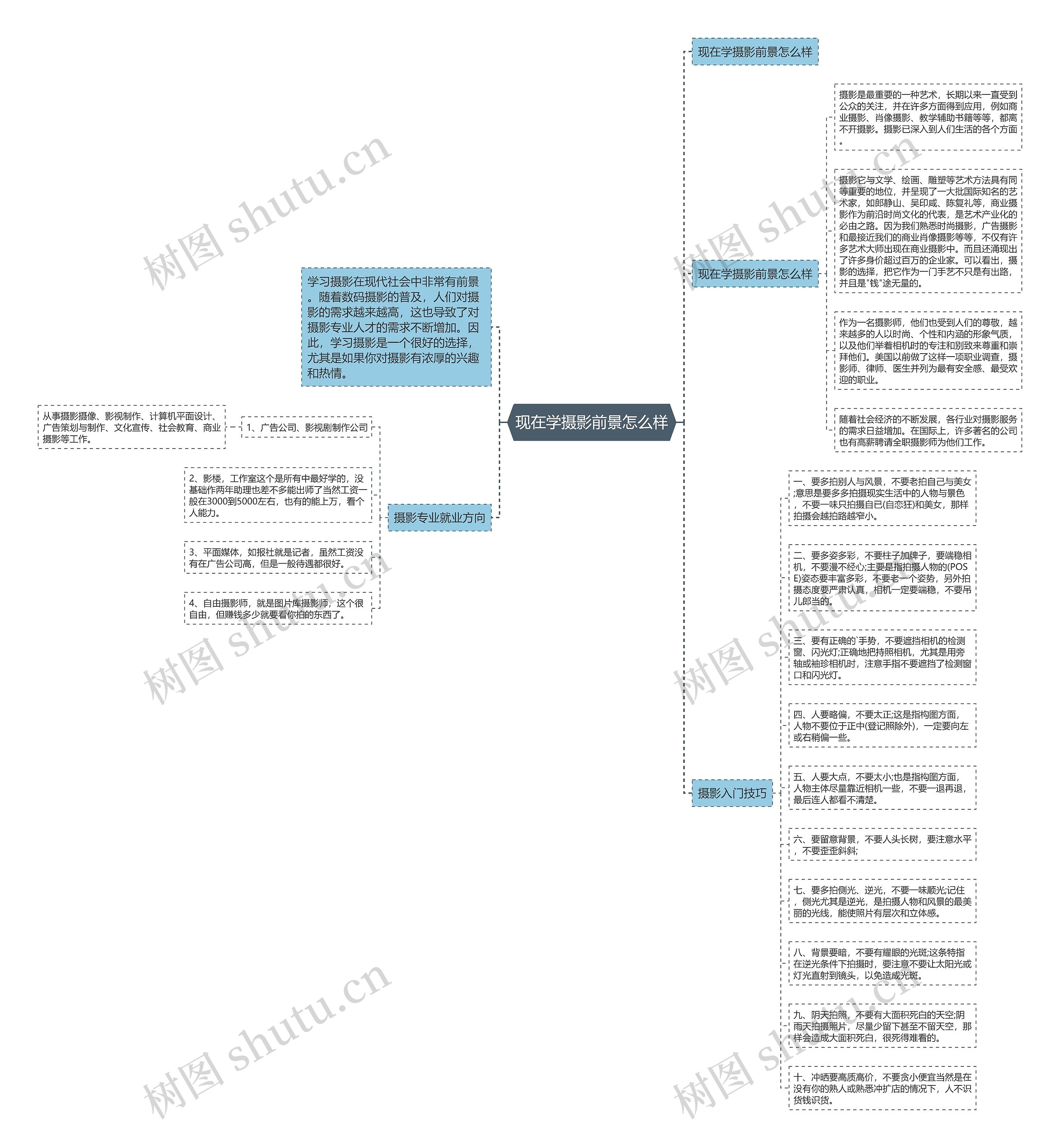 现在学摄影前景怎么样思维导图_编号c1414641-TreeMind树图