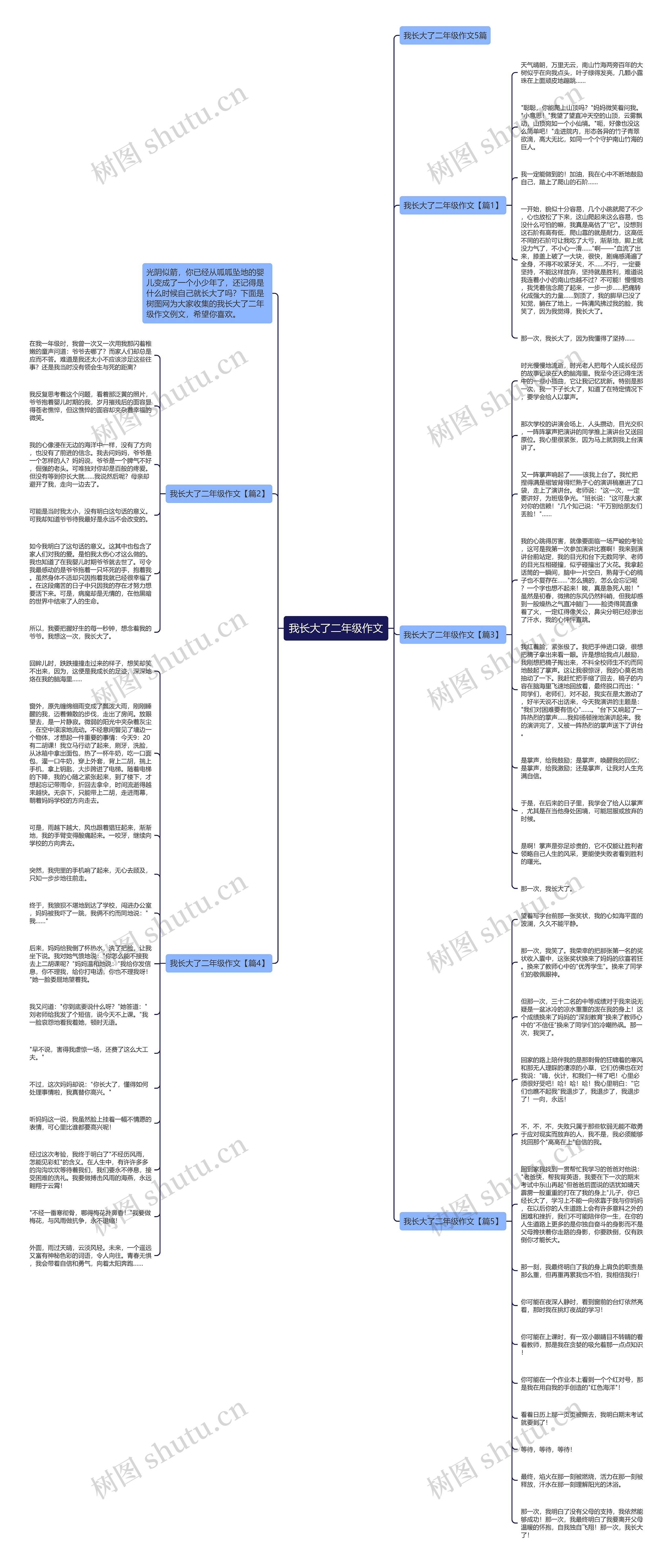 我长大了二年级作文思维导图
