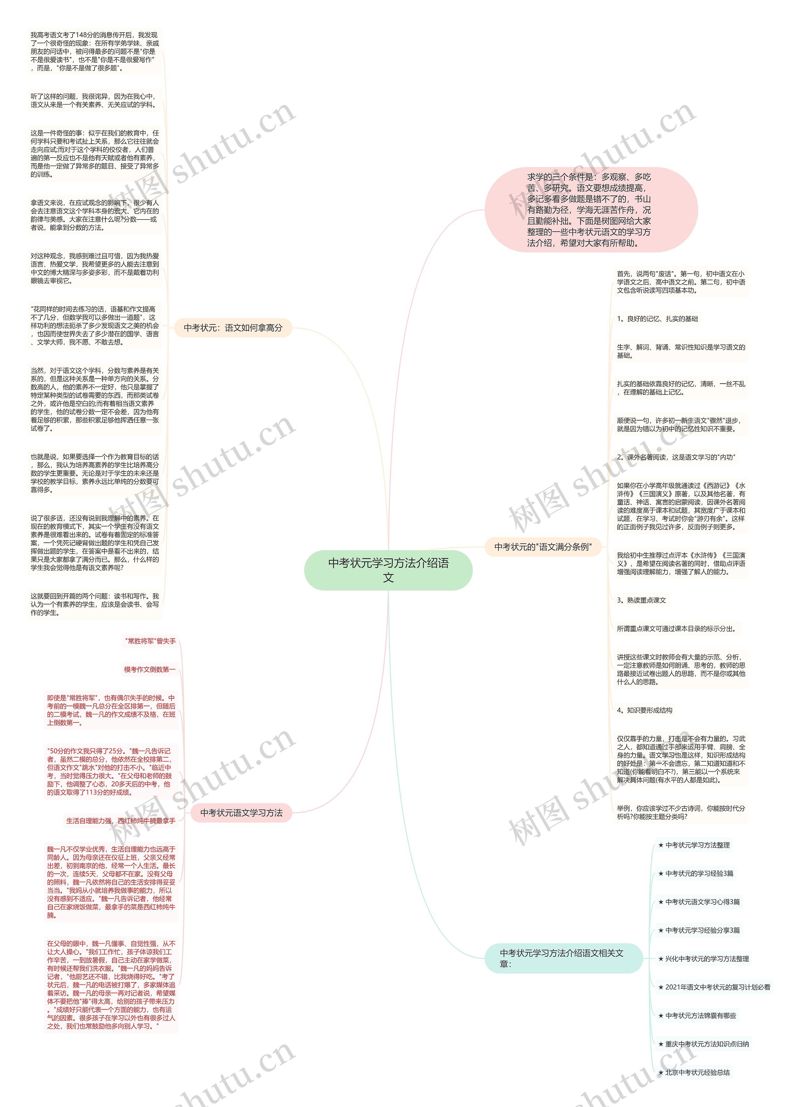 中考状元学习方法介绍语文思维导图