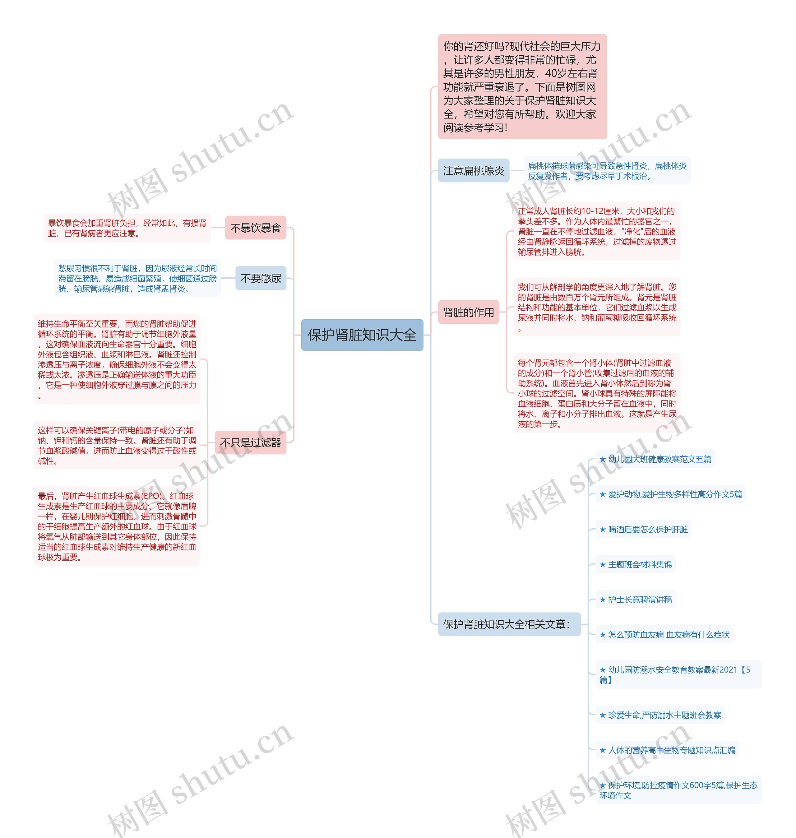 保护肾脏知识大全思维导图