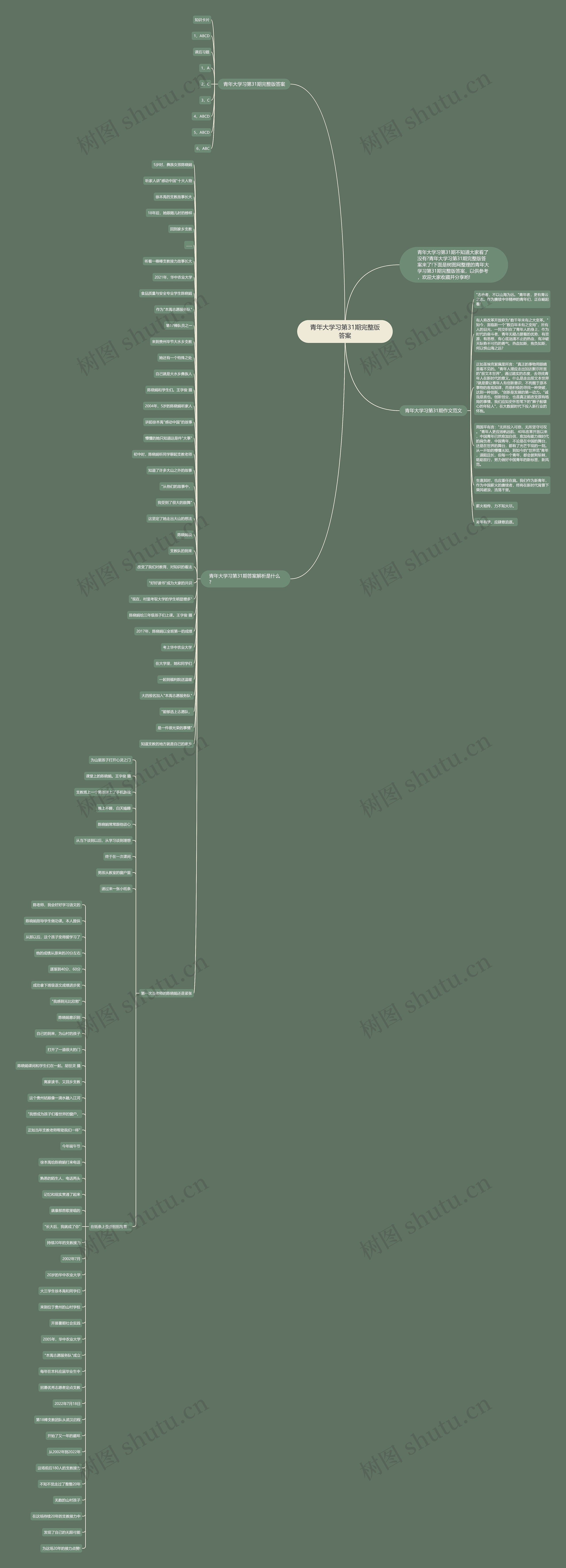 青年大学习第31期完整版答案思维导图
