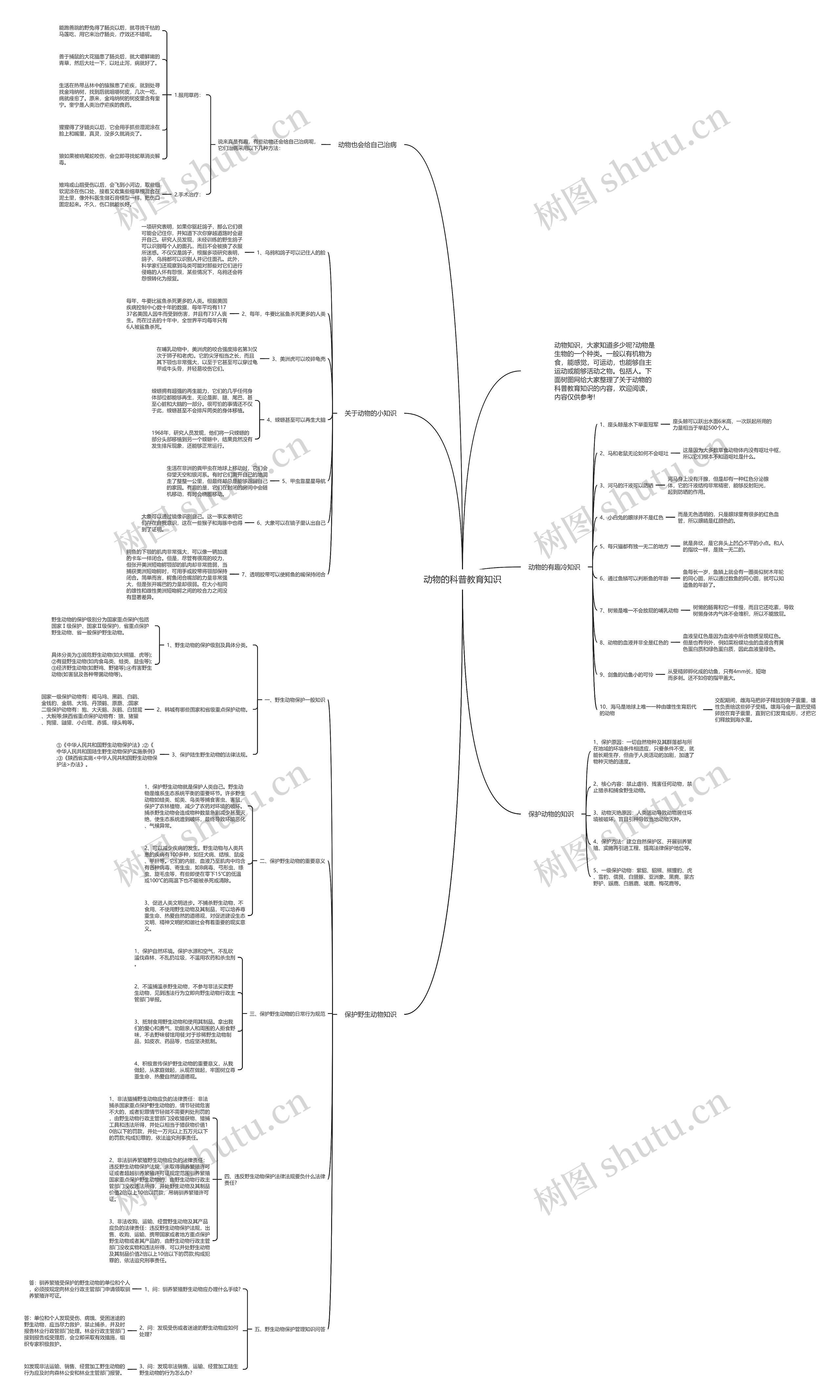 动物的科普教育知识思维导图