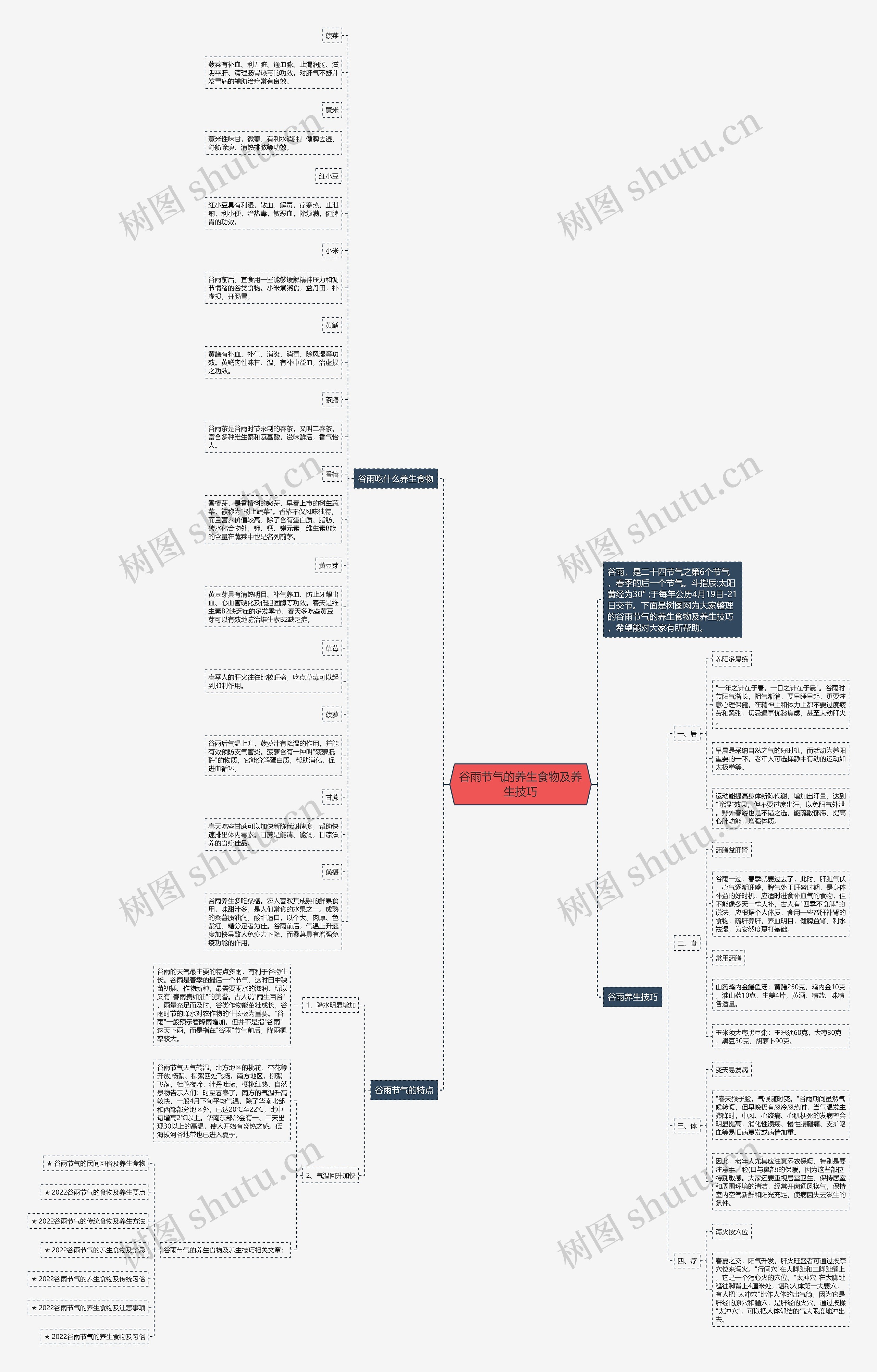 谷雨节气的养生食物及养生技巧思维导图