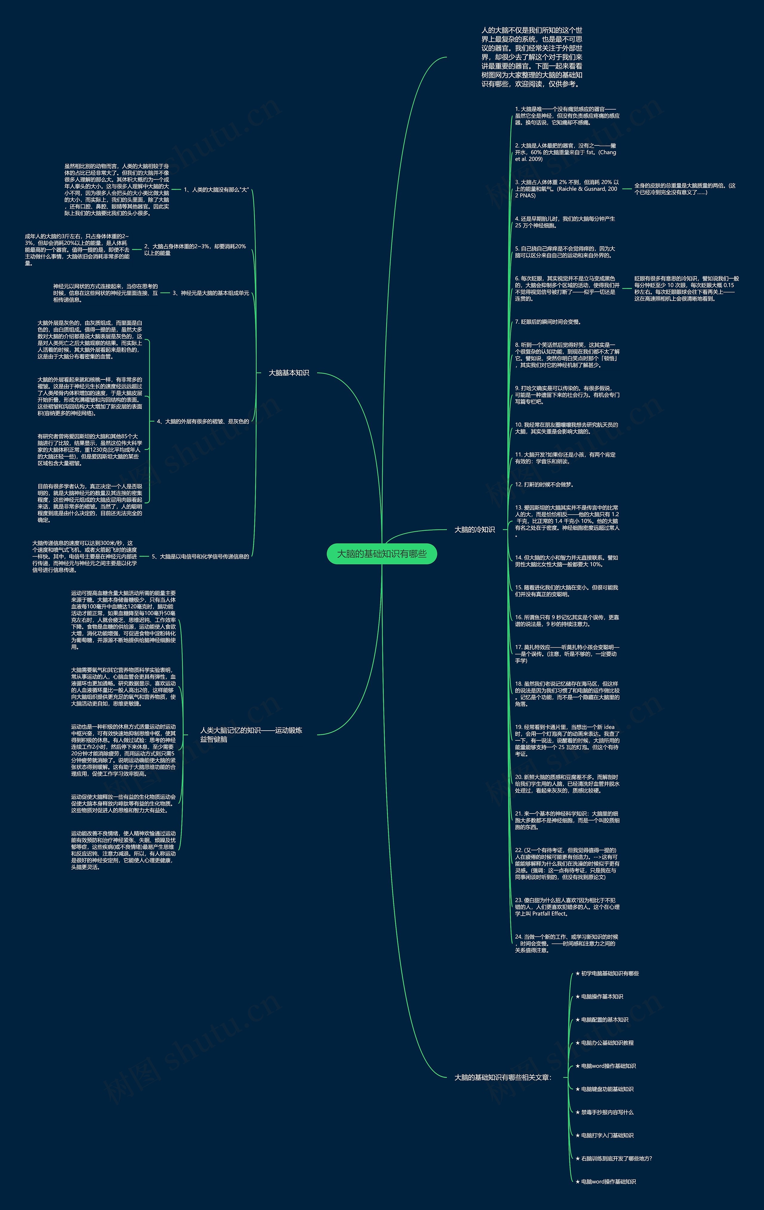 大脑的基础知识有哪些思维导图