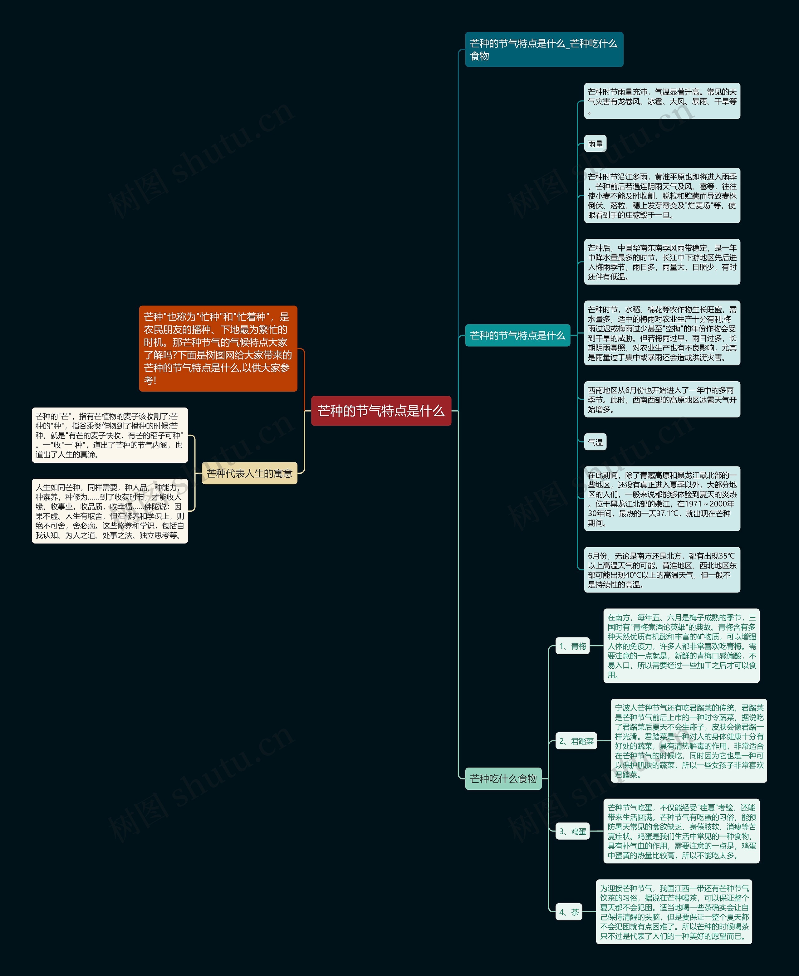 芒种的节气特点是什么思维导图