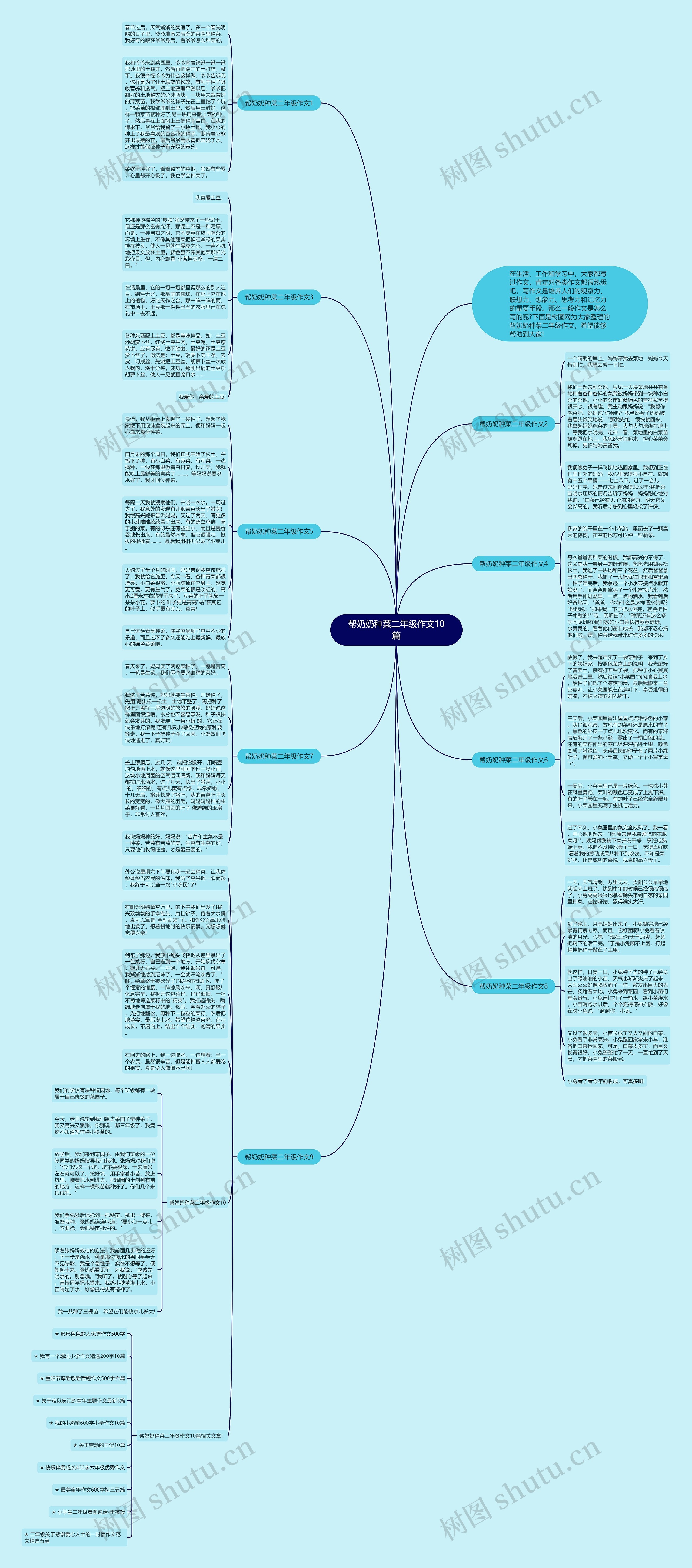 帮奶奶种菜二年级作文10篇思维导图