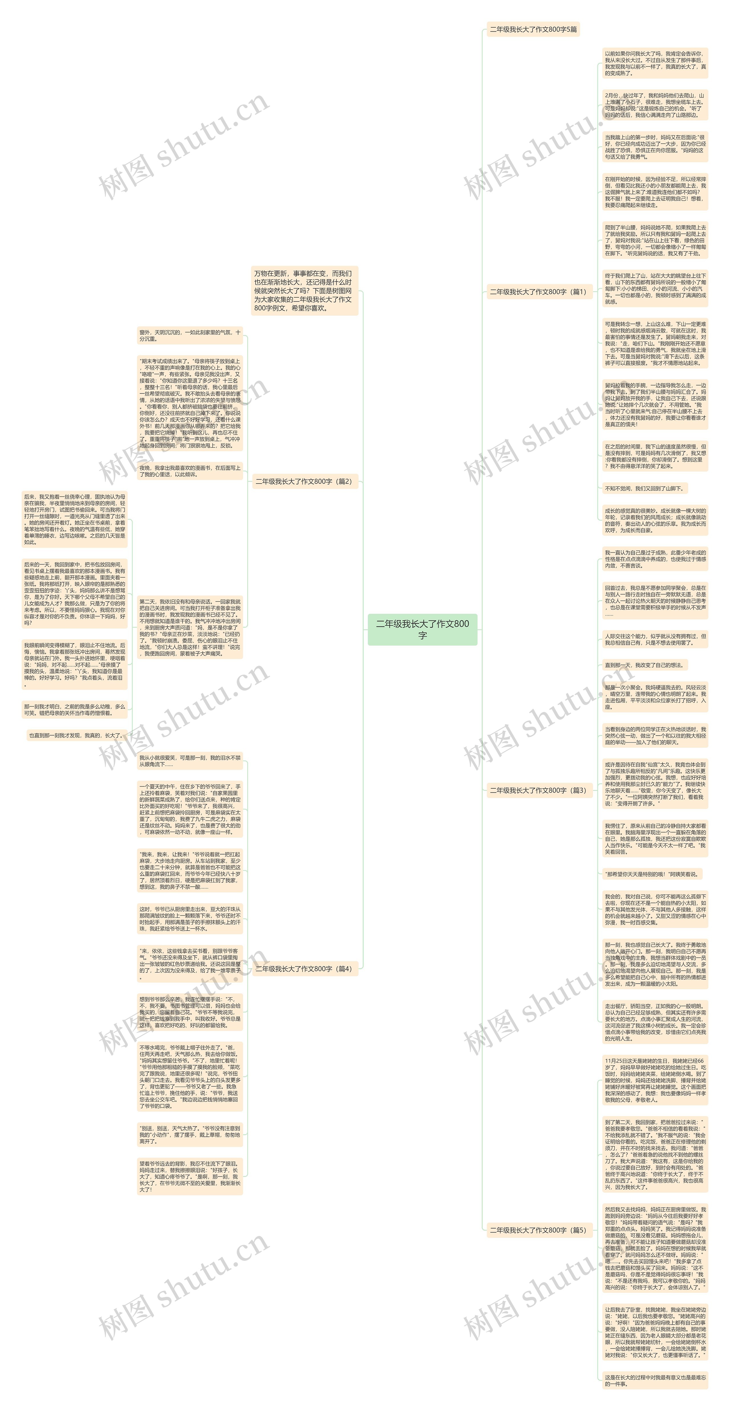 二年级我长大了作文800字思维导图