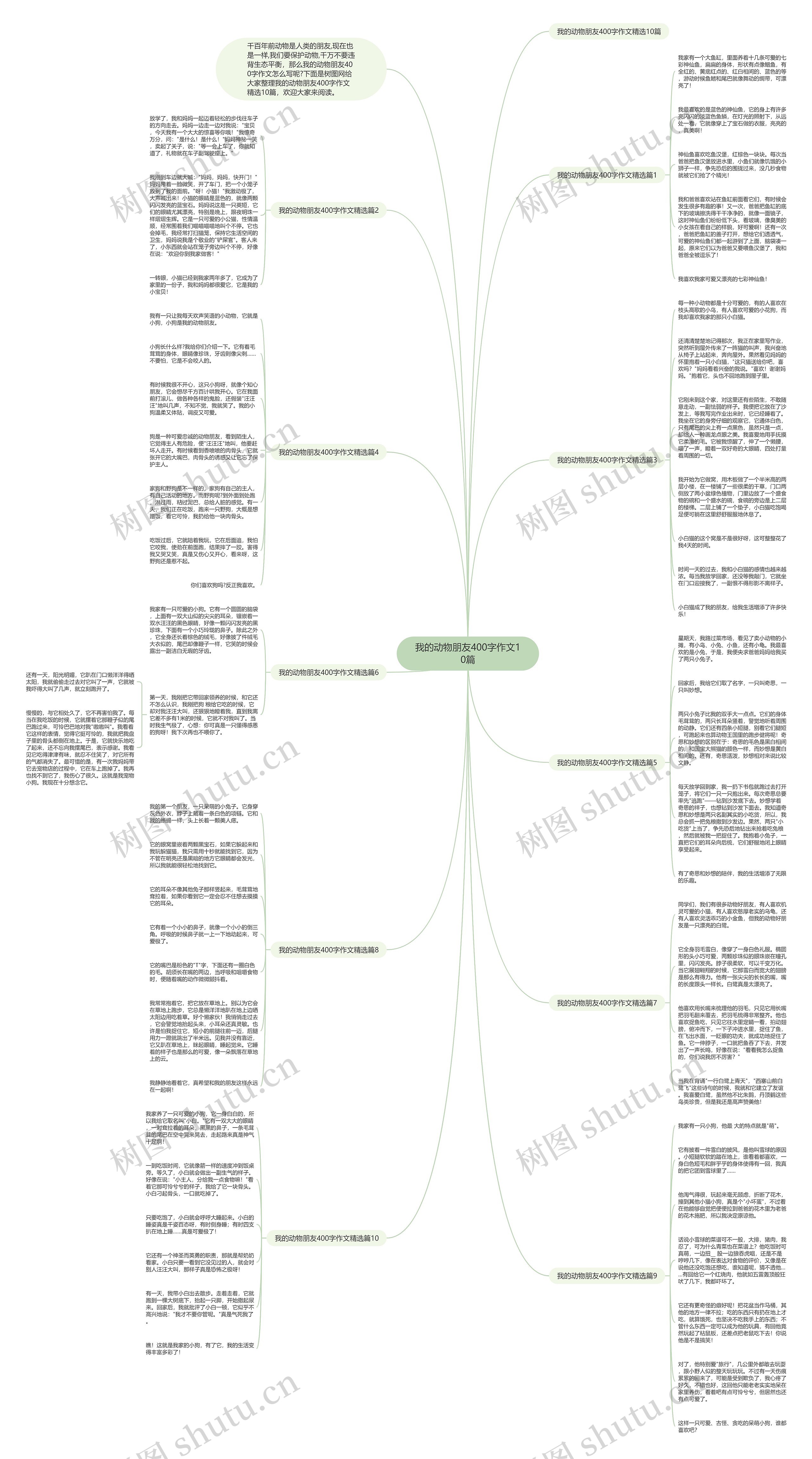 我的动物朋友400字作文10篇思维导图