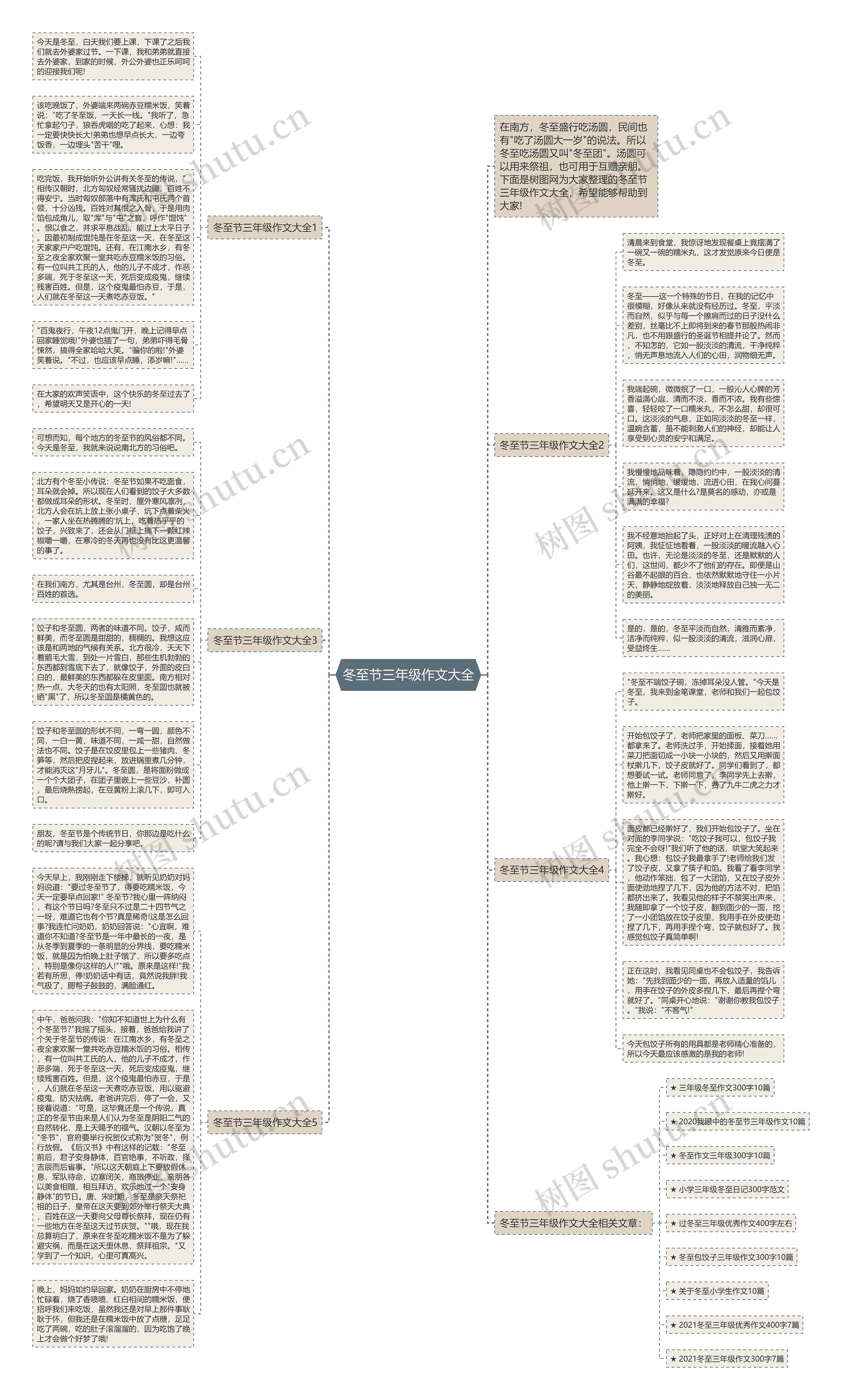 冬至节三年级作文大全思维导图