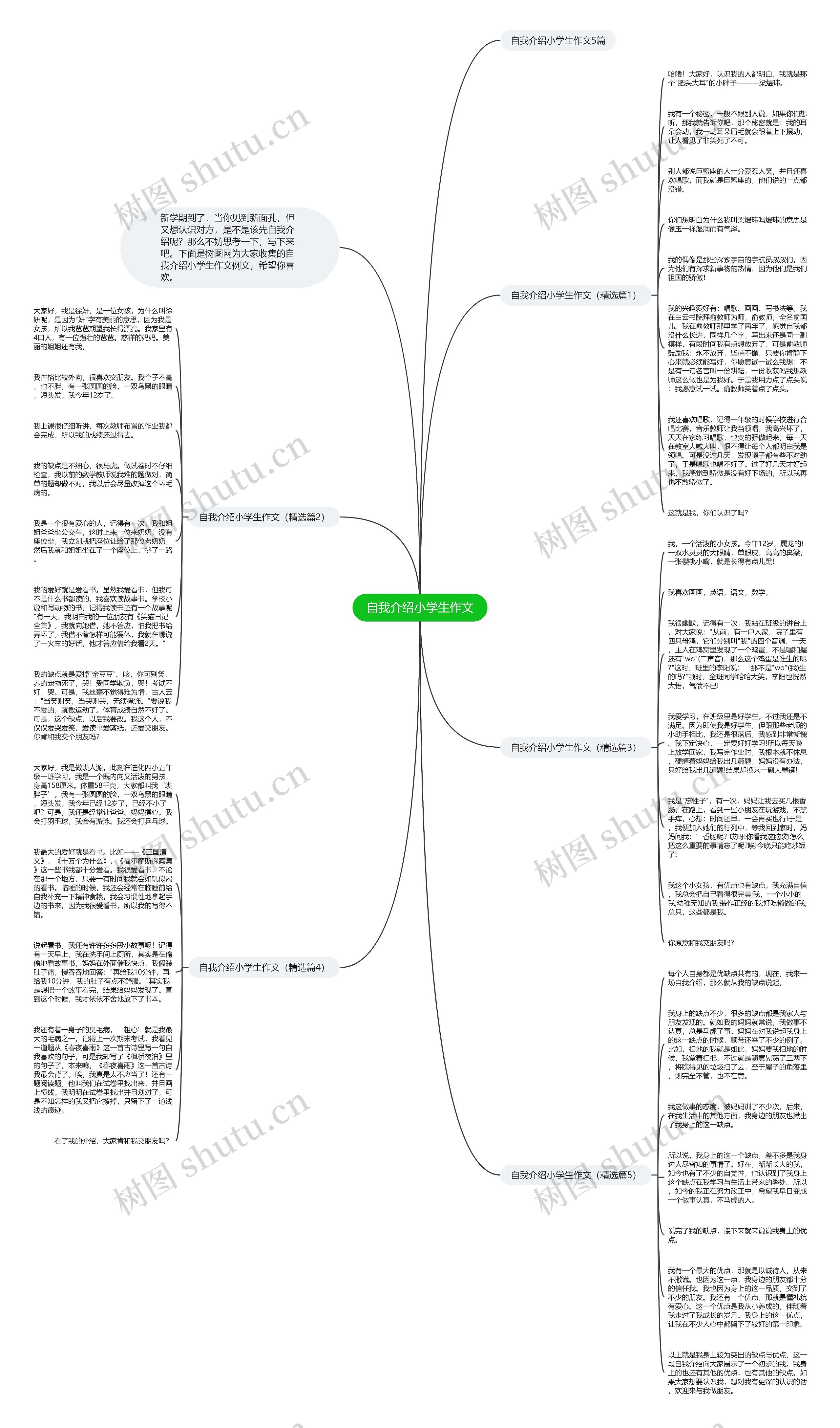 自我介绍小学生作文思维导图