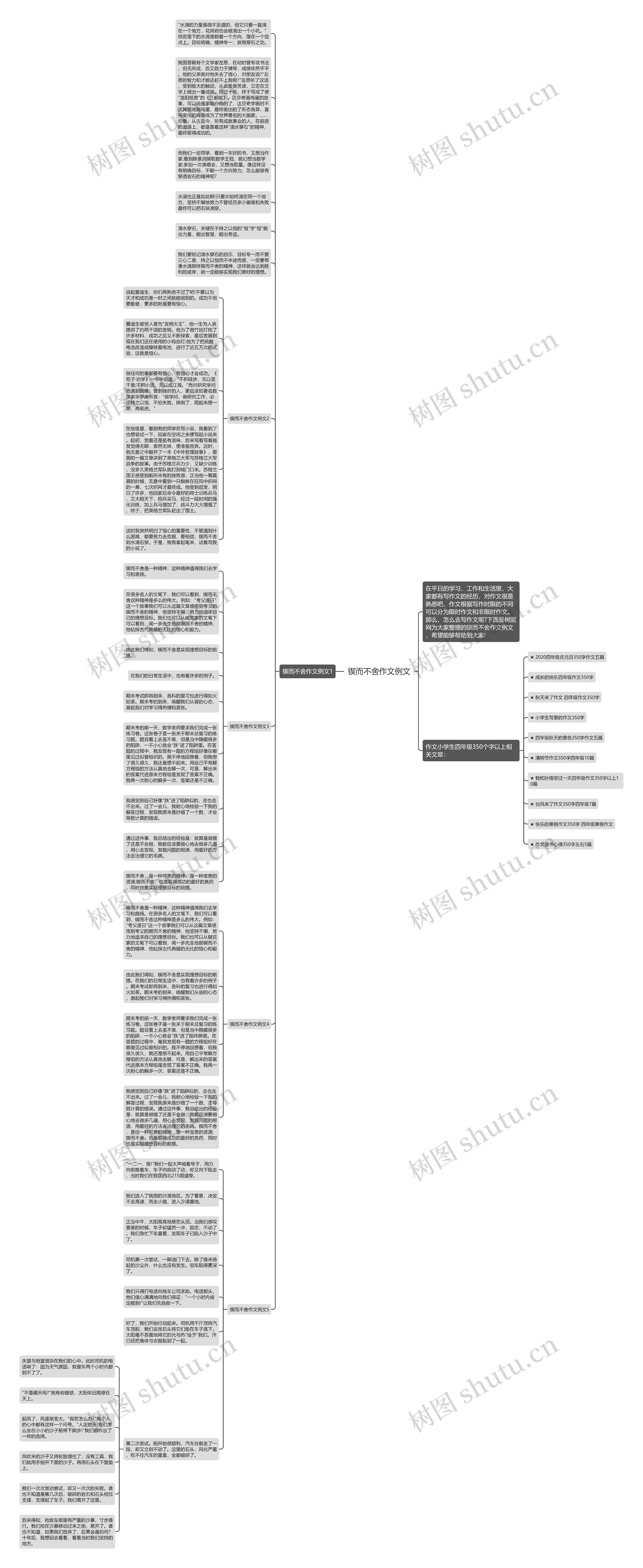 锲而不舍作文例文思维导图