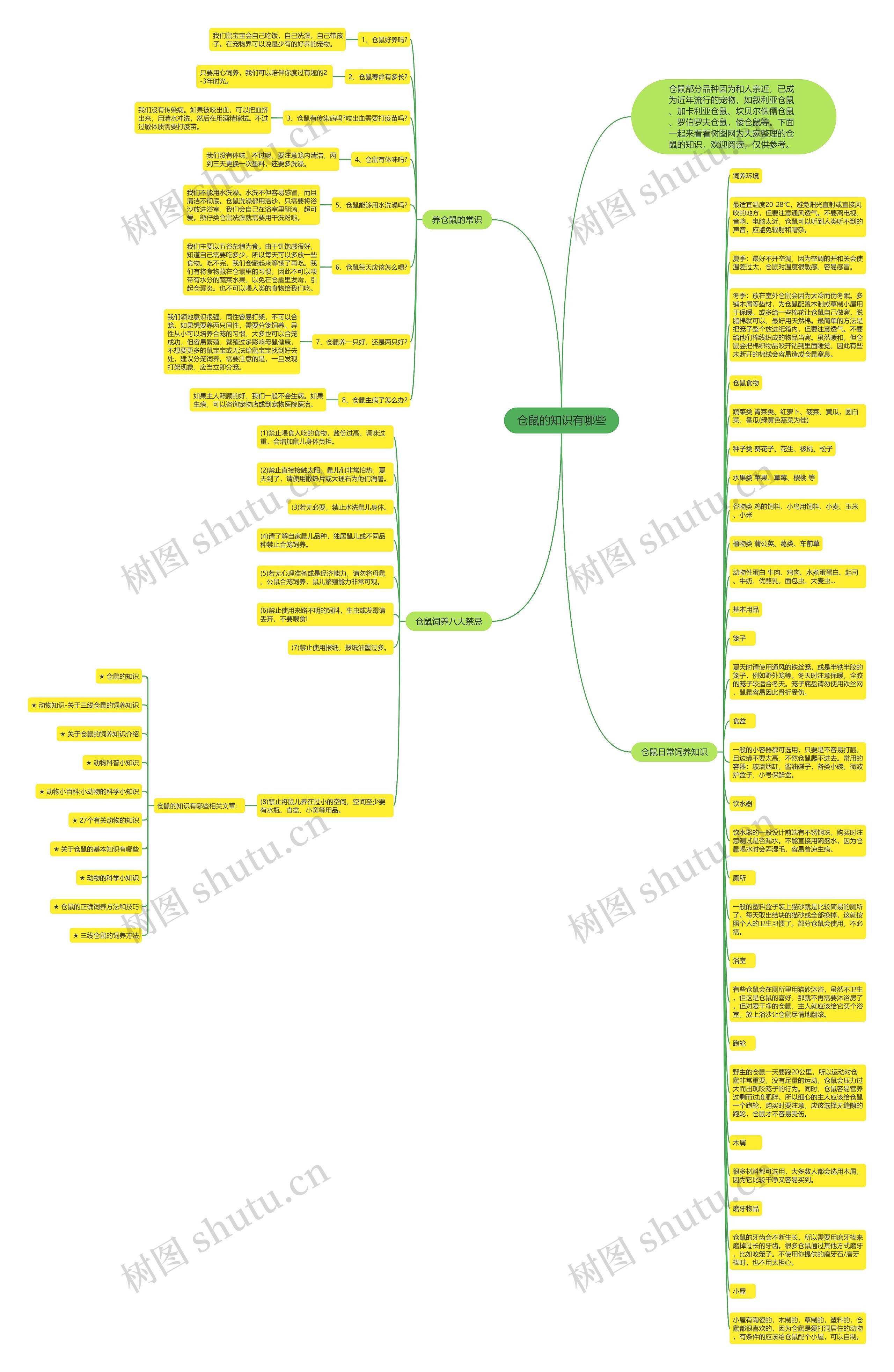 仓鼠的知识有哪些思维导图
