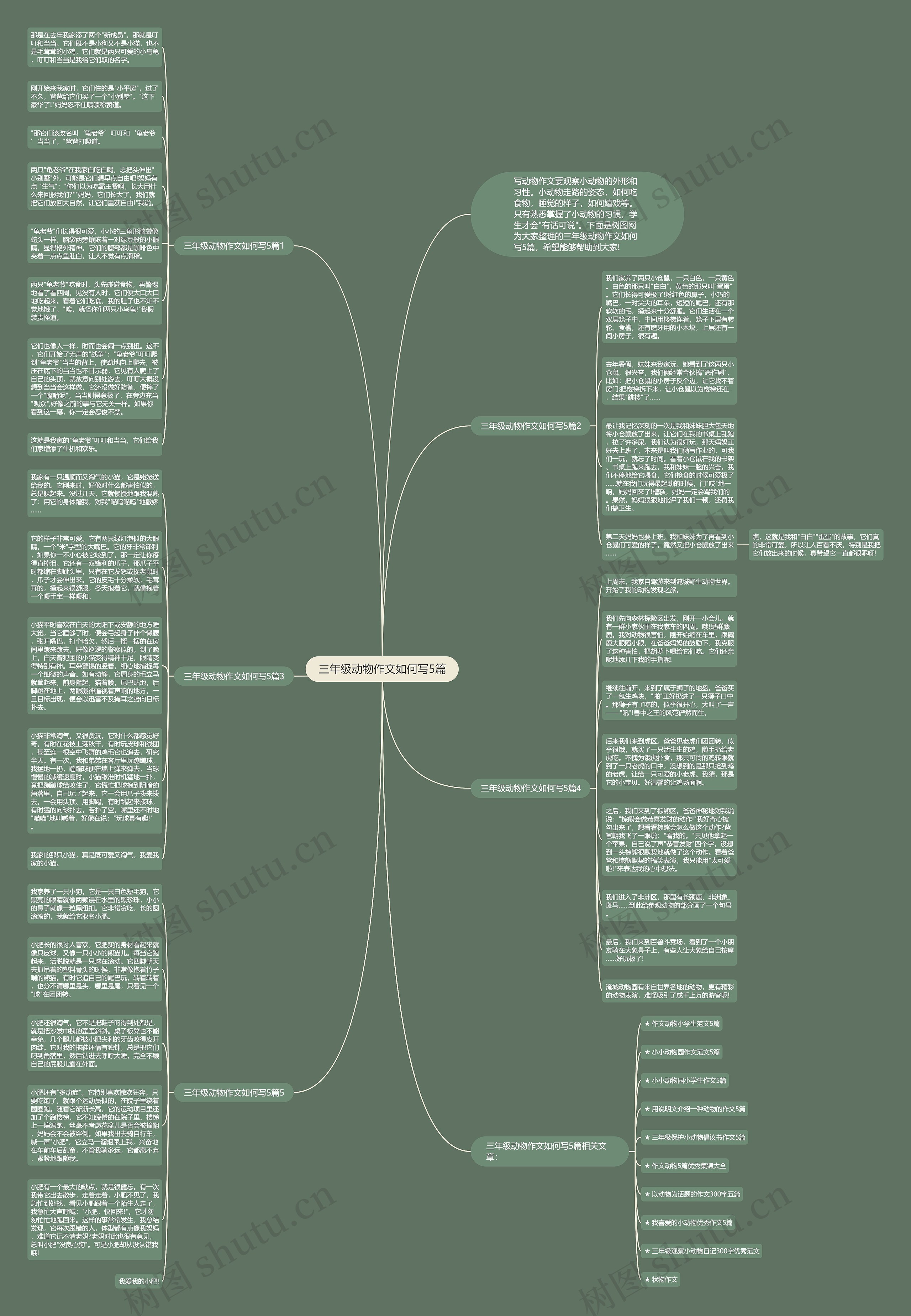 三年级动物作文如何写5篇思维导图