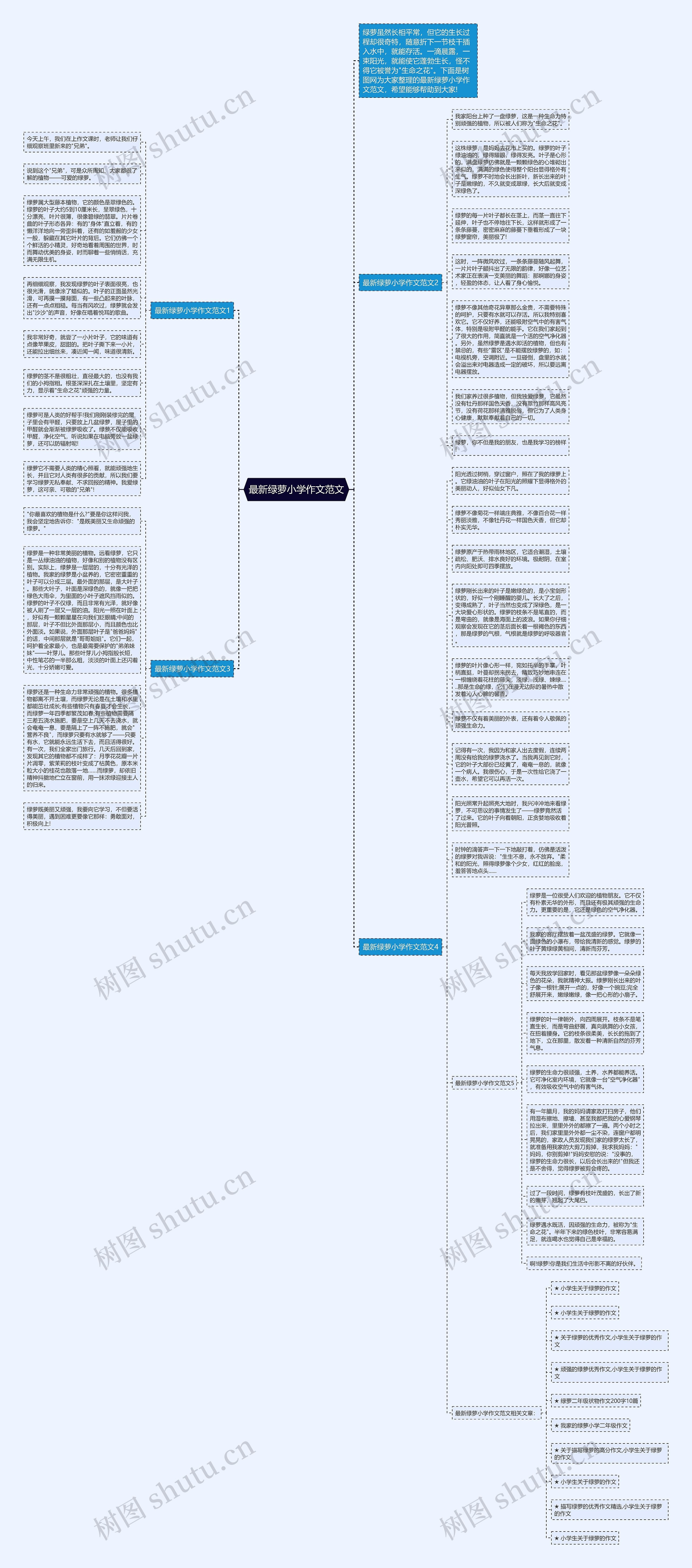最新绿萝小学作文范文思维导图