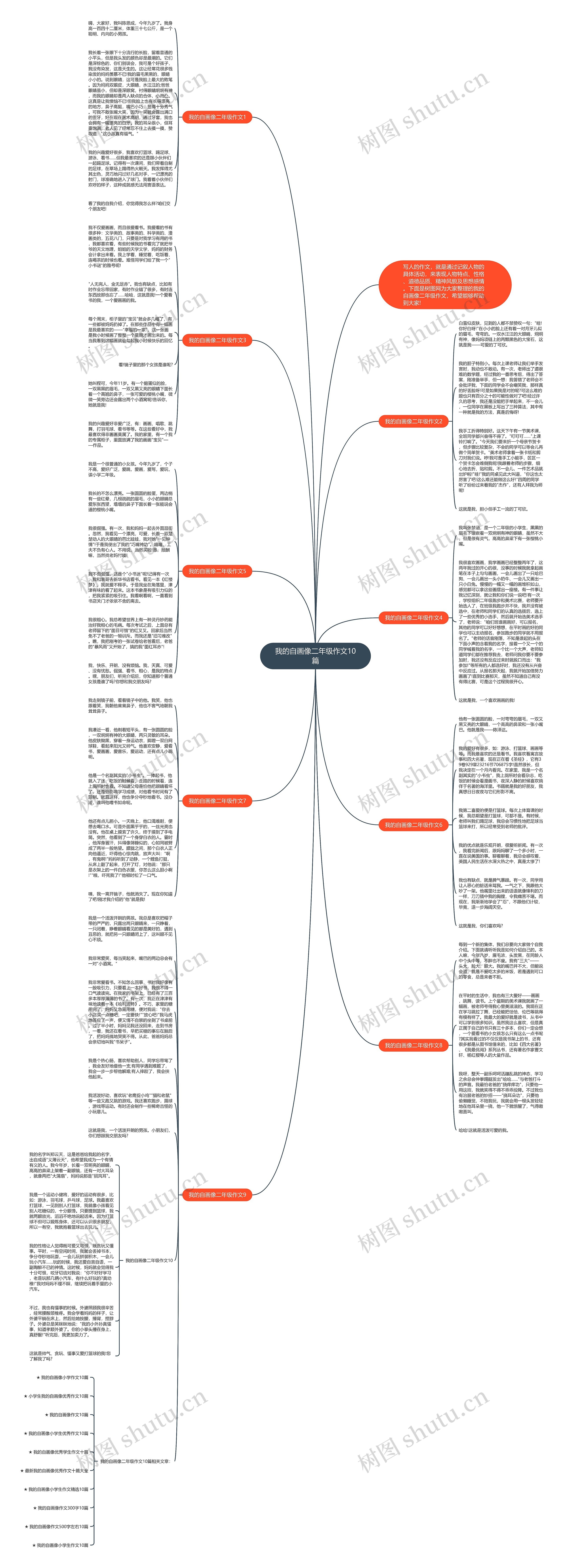 我的自画像二年级作文10篇思维导图