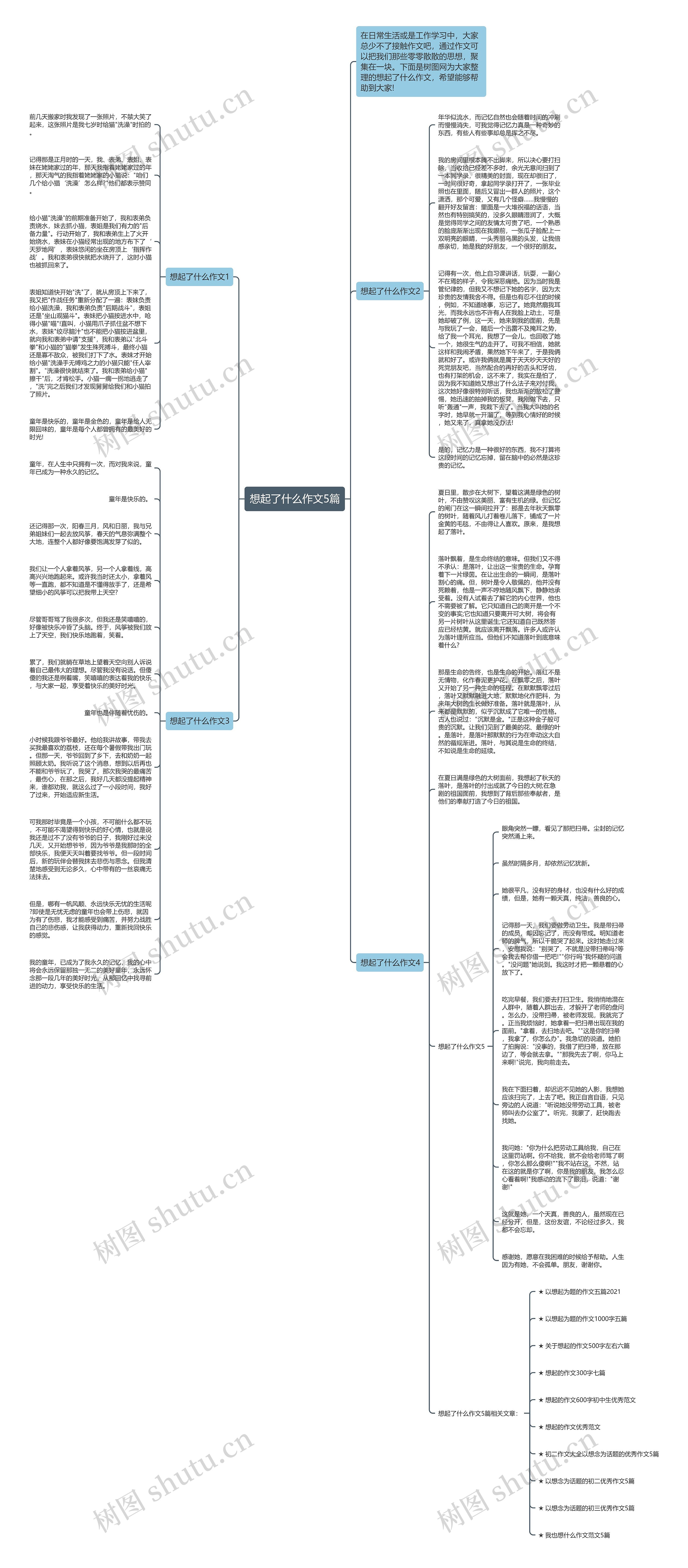 想起了什么作文5篇思维导图