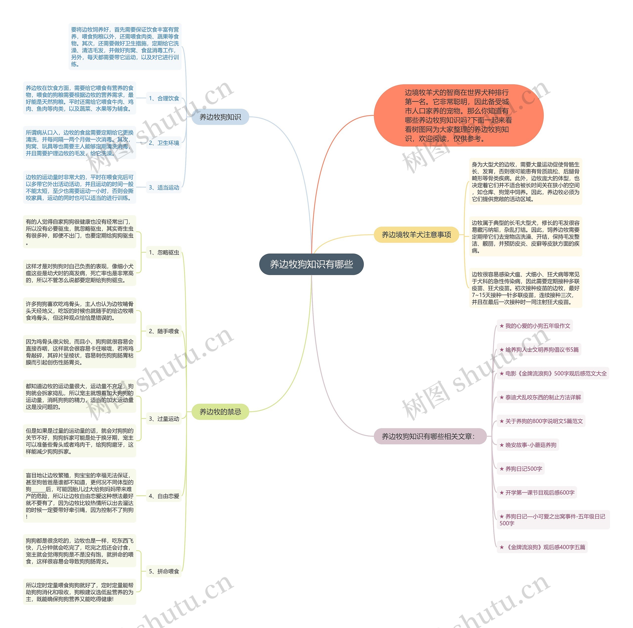 养边牧狗知识有哪些思维导图