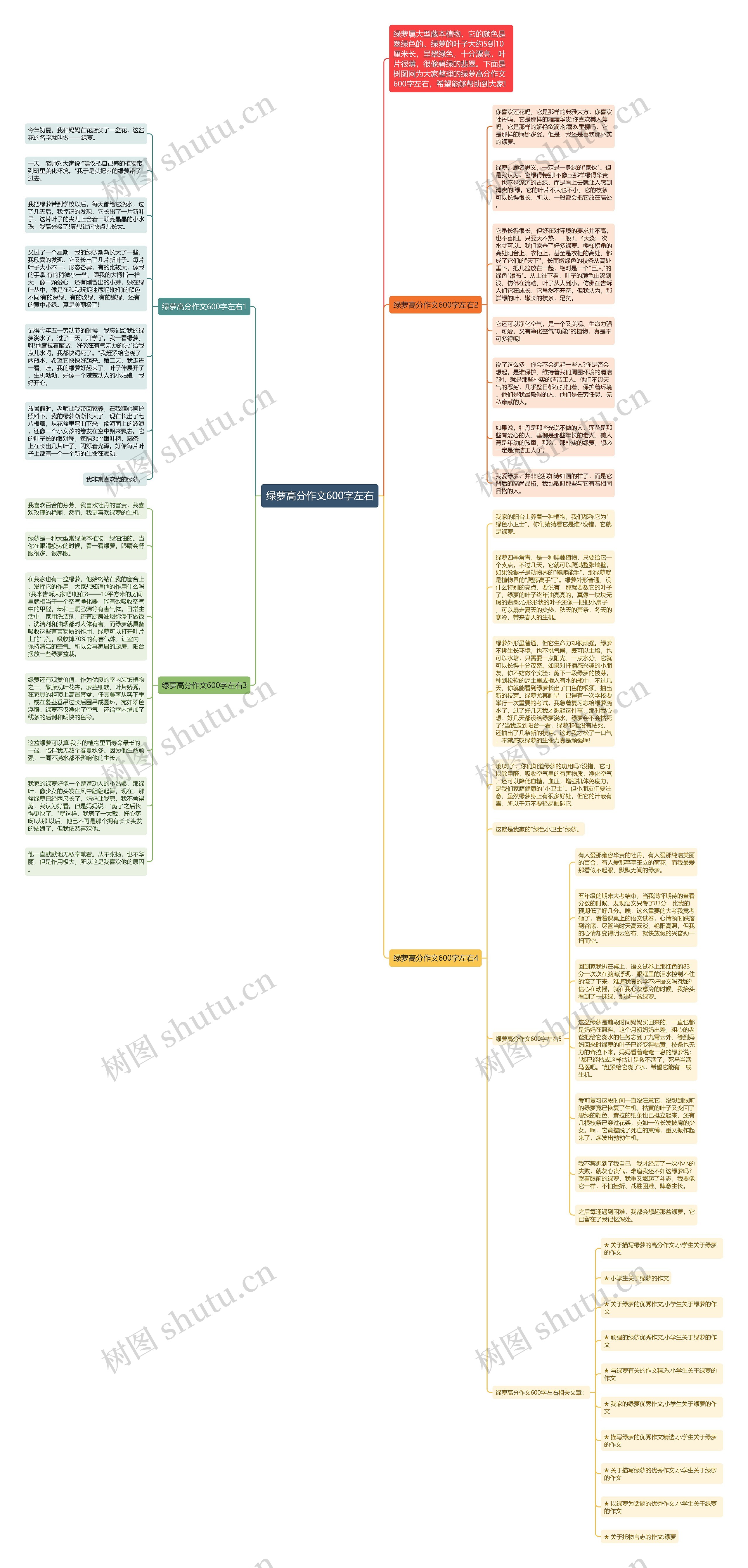 绿萝高分作文600字左右思维导图