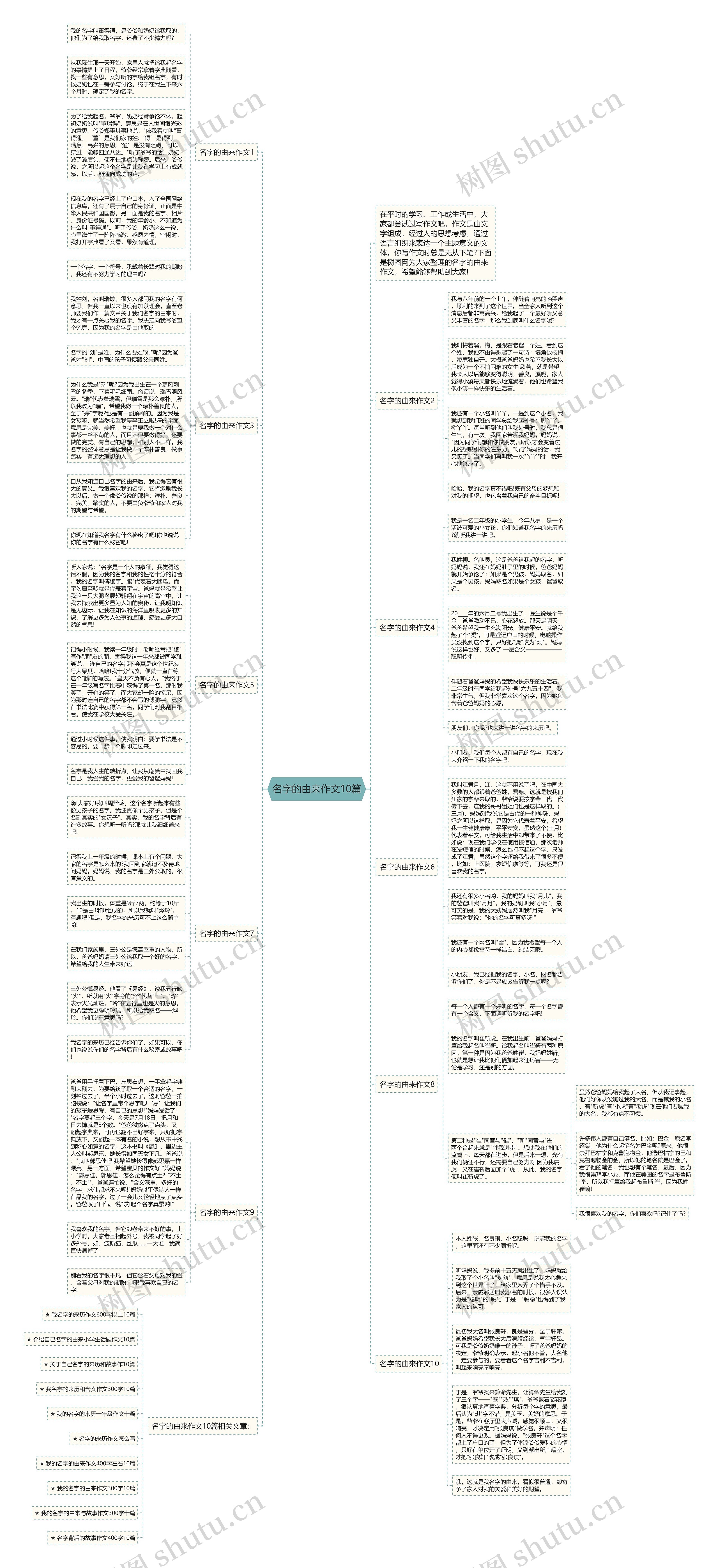 名字的由来作文10篇思维导图