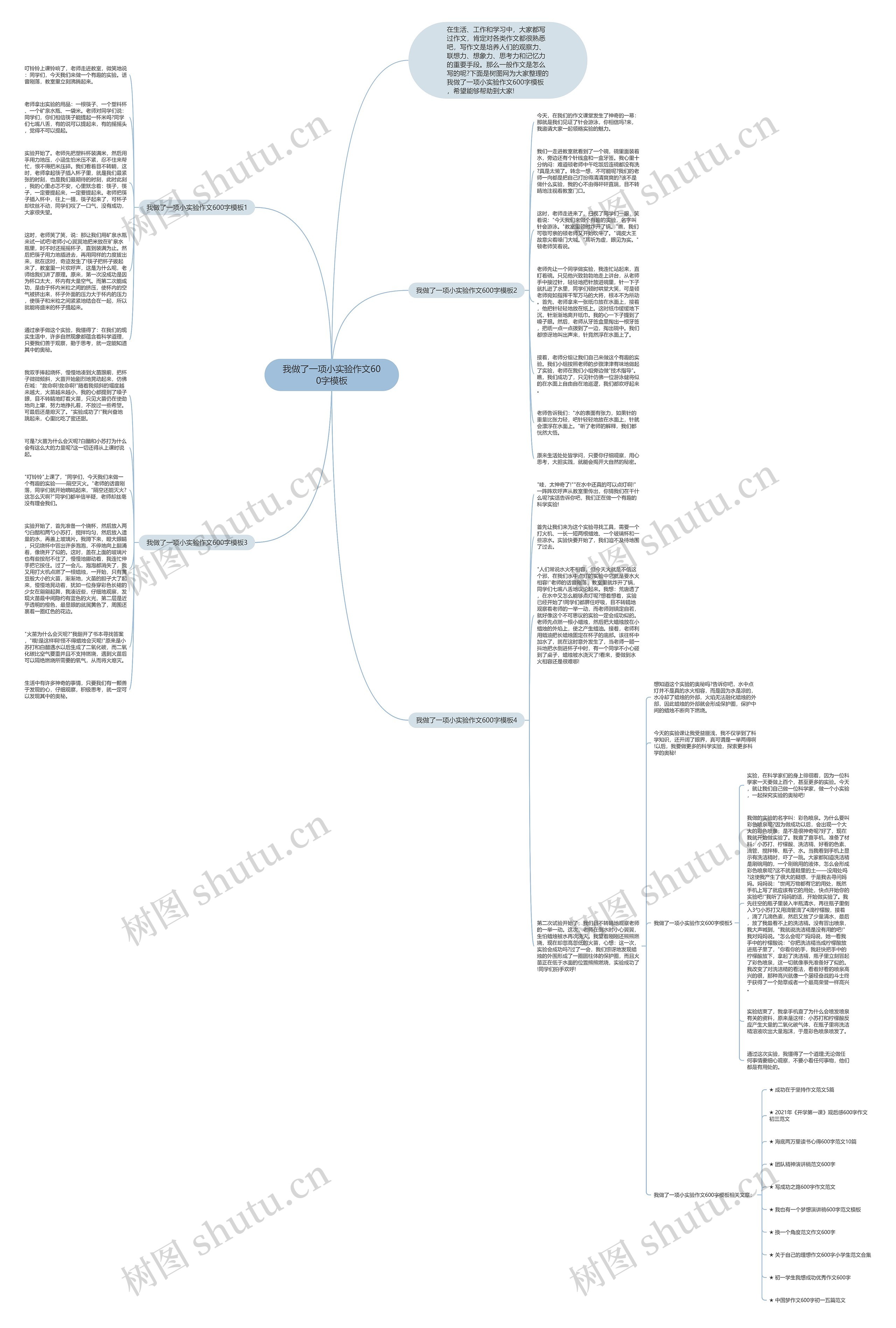 我做了一项小实验作文600字思维导图