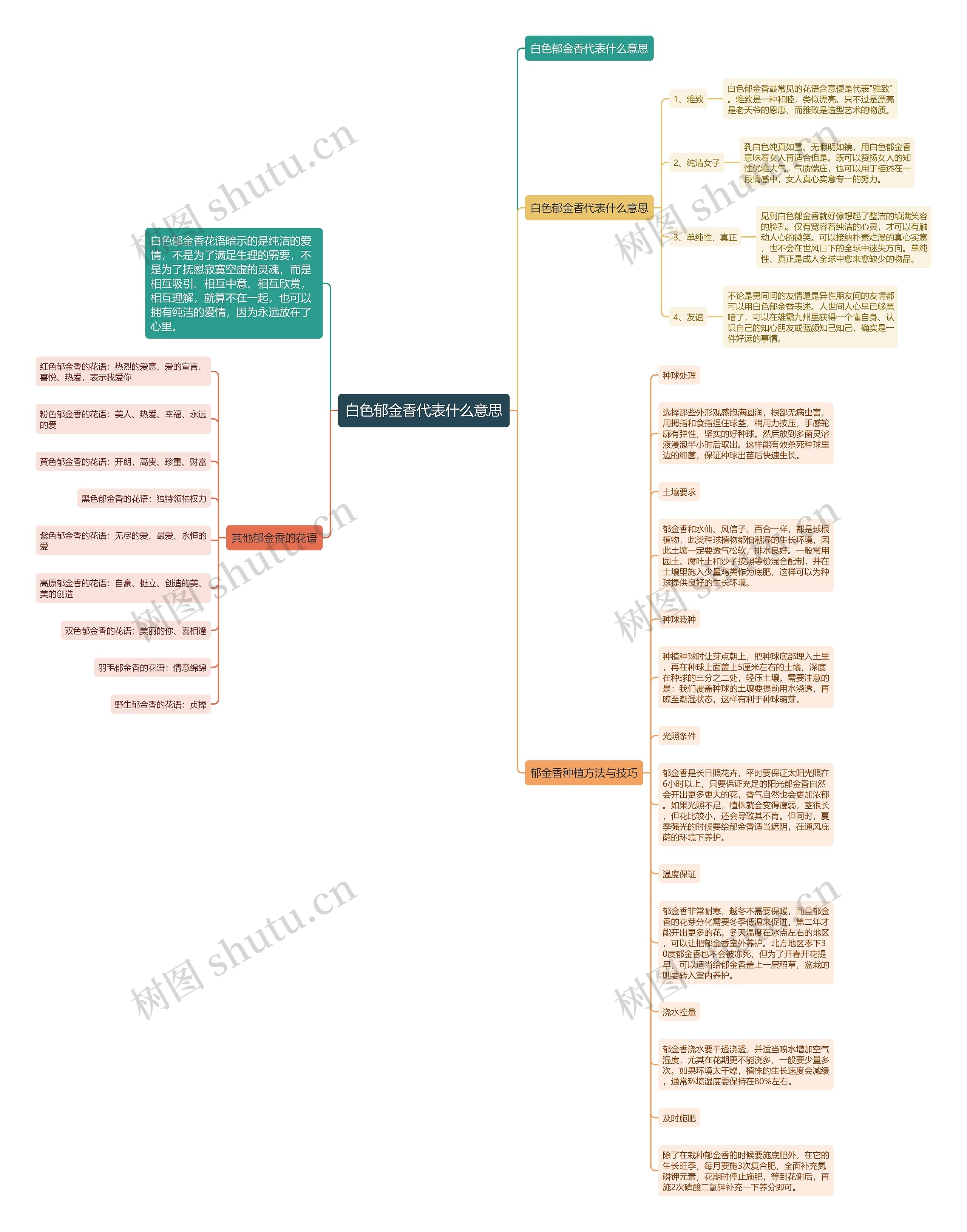 白色郁金香代表什么意思思维导图