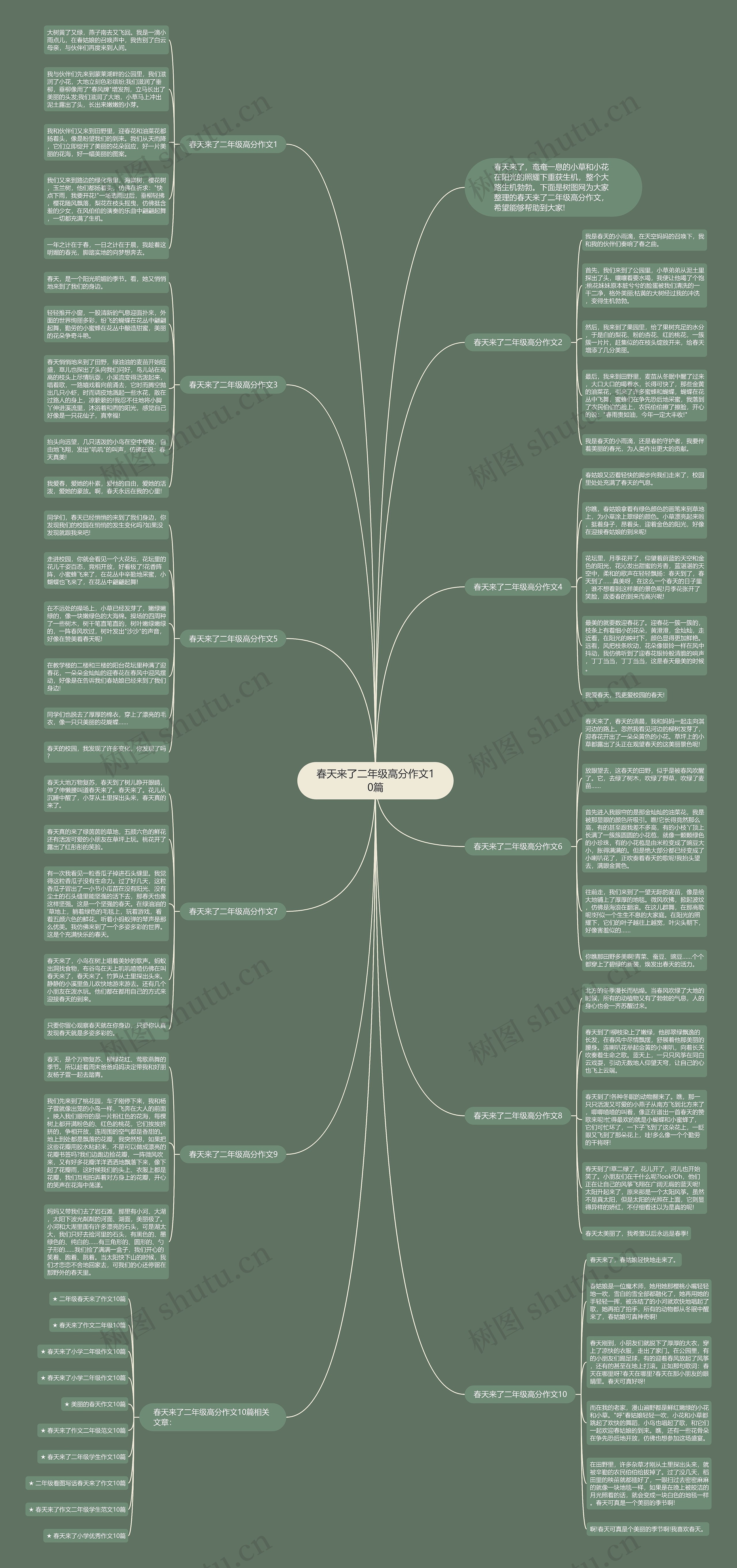春天来了二年级高分作文10篇思维导图